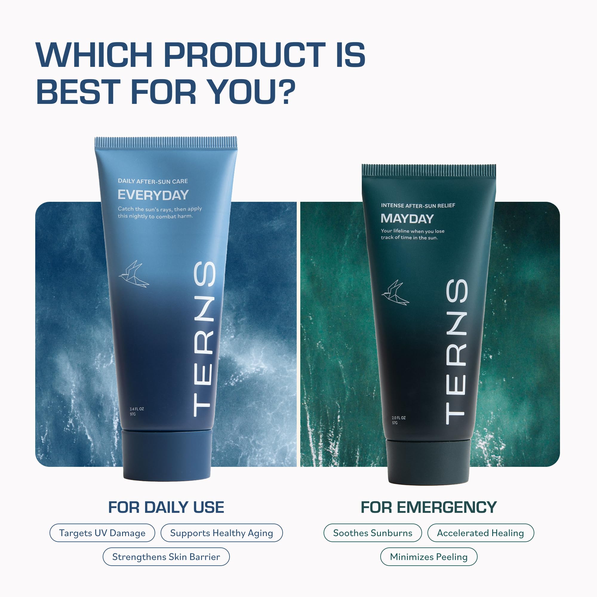 TERNS Everyday Advanced Moisturizer for Face & Body, Daily Skin Care Lotion for Men & Women, Marine Bioactive Skin Cream, Supports Firmness & Hydration, Travel Friendly, Natural Fragrance, 3.4 Oz TERNSAu supplements