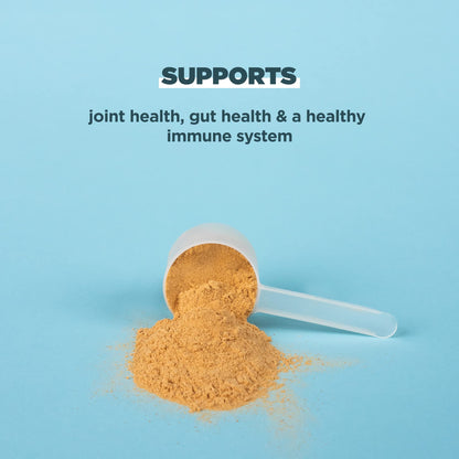 Ancient Nutrition Bone Broth Protein Powder, Salted Caramel, 19g Protein per Serving Ancient NutritionUS supplements