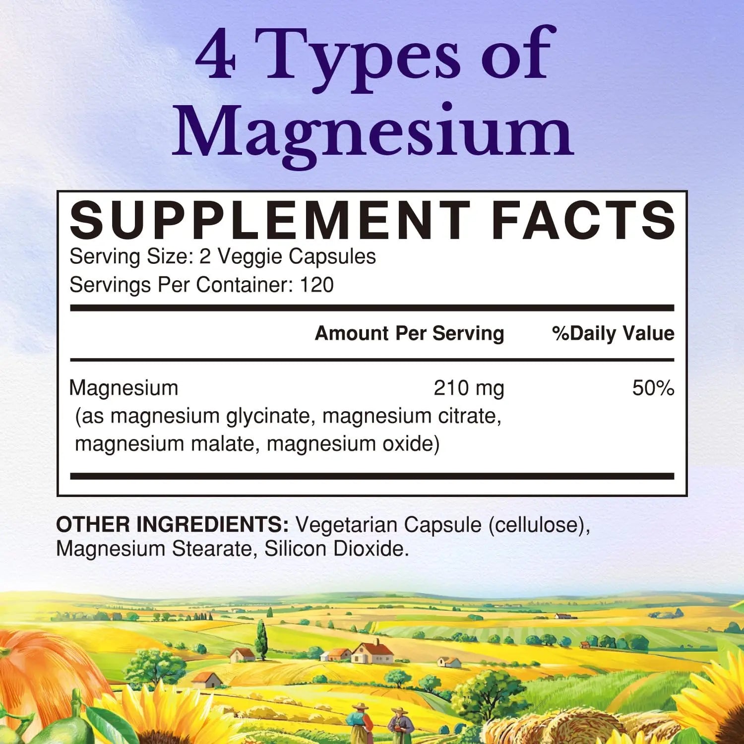 Vitalitown Magnesium Complex | Chelated Easily Absorbed Magnesium Glycinate Citrate Malate | Buffered | 210mg Elemental Mag | Sleep, Nerve, Digestion, Energy | Non-GMO 240 Veg Caps Vitalitownnz supplements