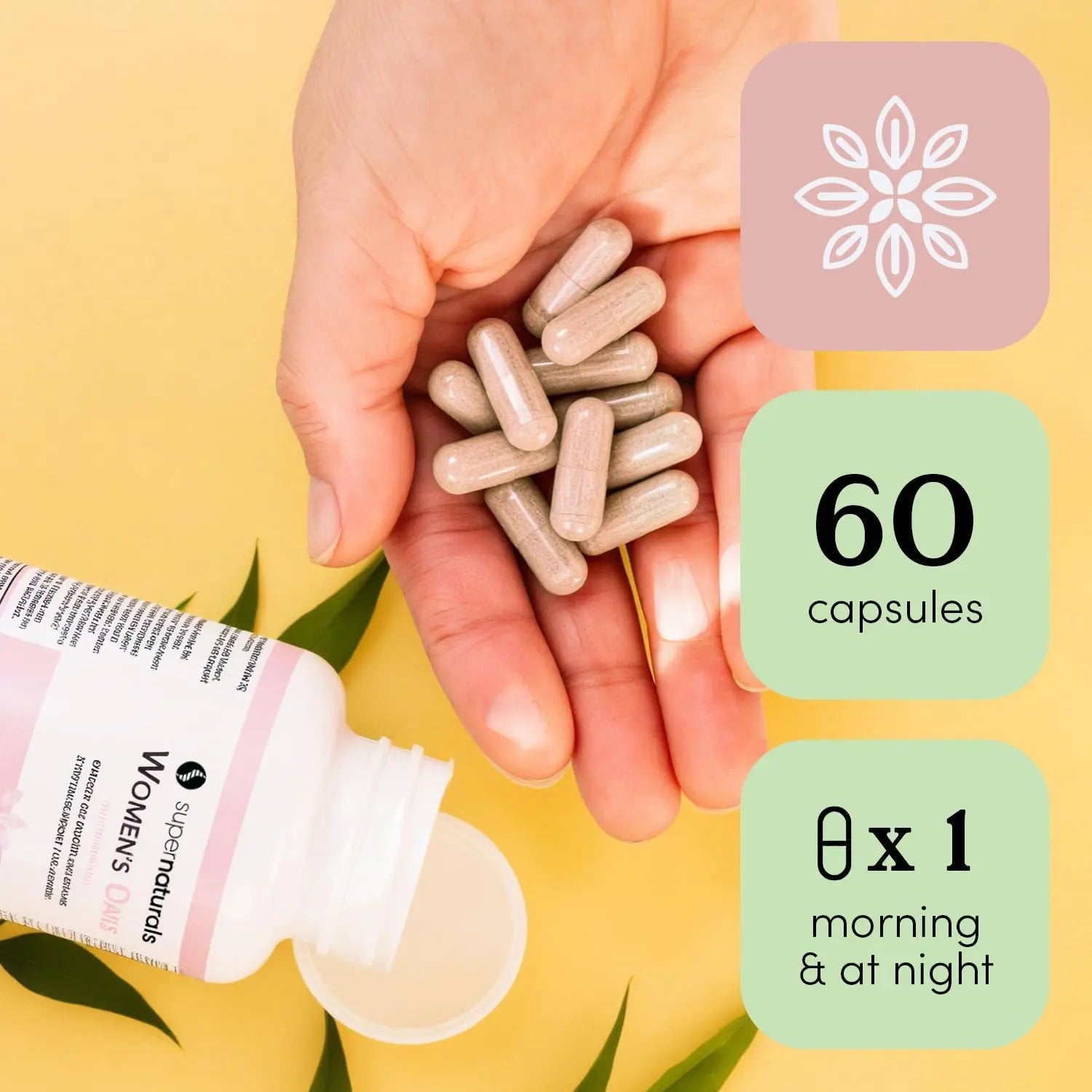 Super Naturals Health, Multivitamin for Women, Immune Defense Supplement Multivitamin Capsules, Vegan Supplements for Women - 60 Capsules JLM NUTRITIONALSAu supplements