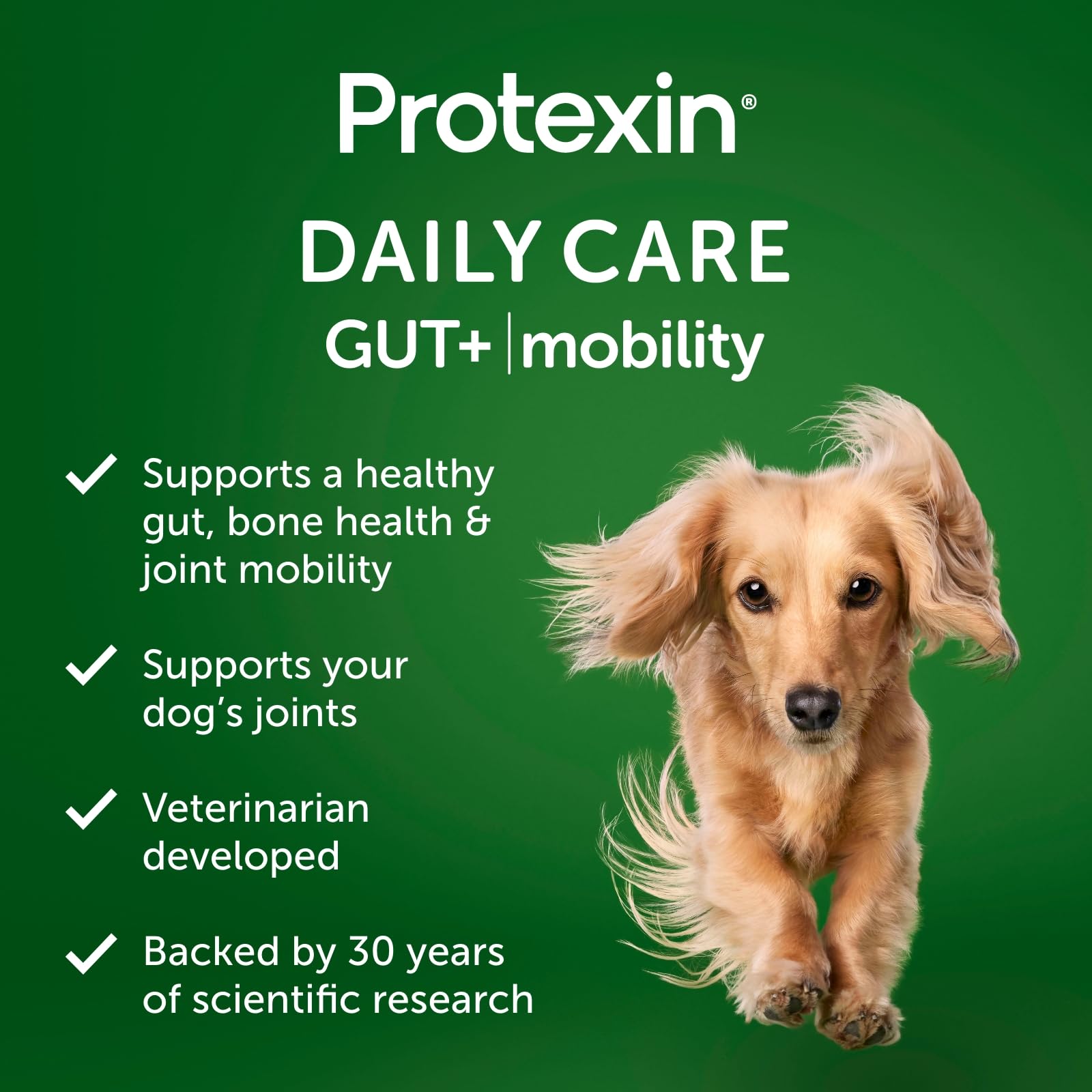 Protexin Daily Care Gut+ Mobility | 60 Dog Chews, Chicken and Bacon Flavor Dog Supplement | Probiotics for Dogs, Dog Postbiotics ProtexinAu supplements