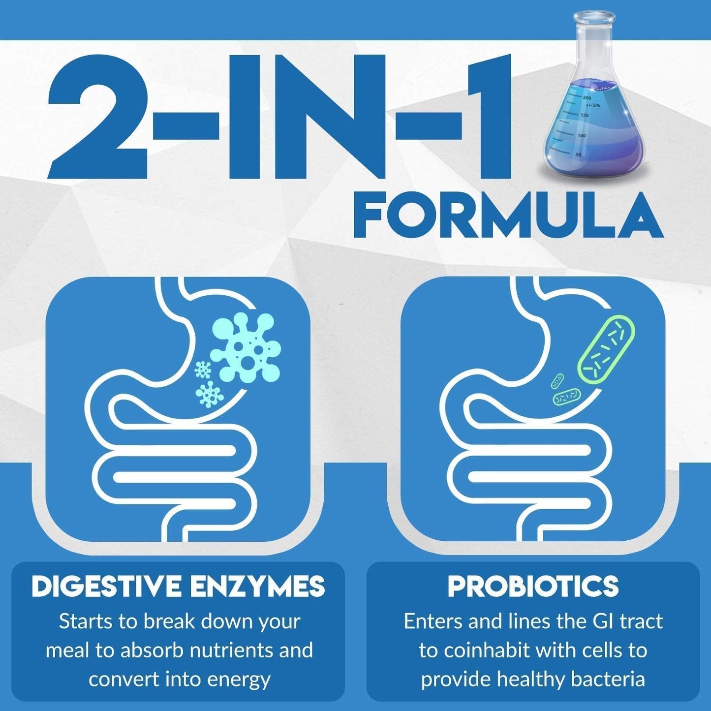 Instant Digest Complete 2-in-1 Probiotic Digestive Enzymes, 60 Capsules Instant BrandsUS supplements