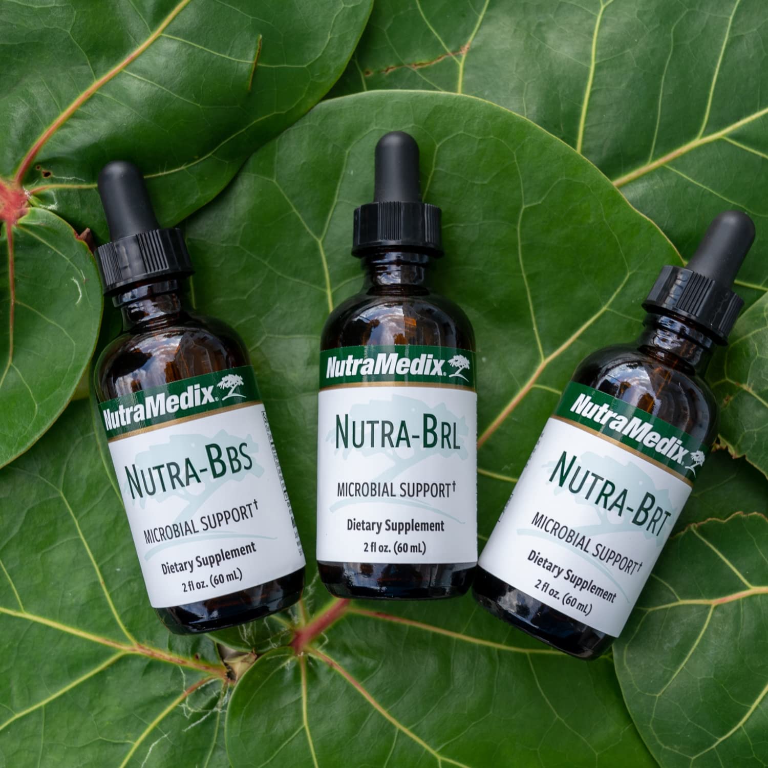 Nutramedix Nutra BRT - Liquid Herbal Supplement for Gut Health & Immune Support - Cumanda Bark & Houttuynia Leaf for Digestive Health - Immune System Booster Supplement (60mL) NutraMedixAu supplements