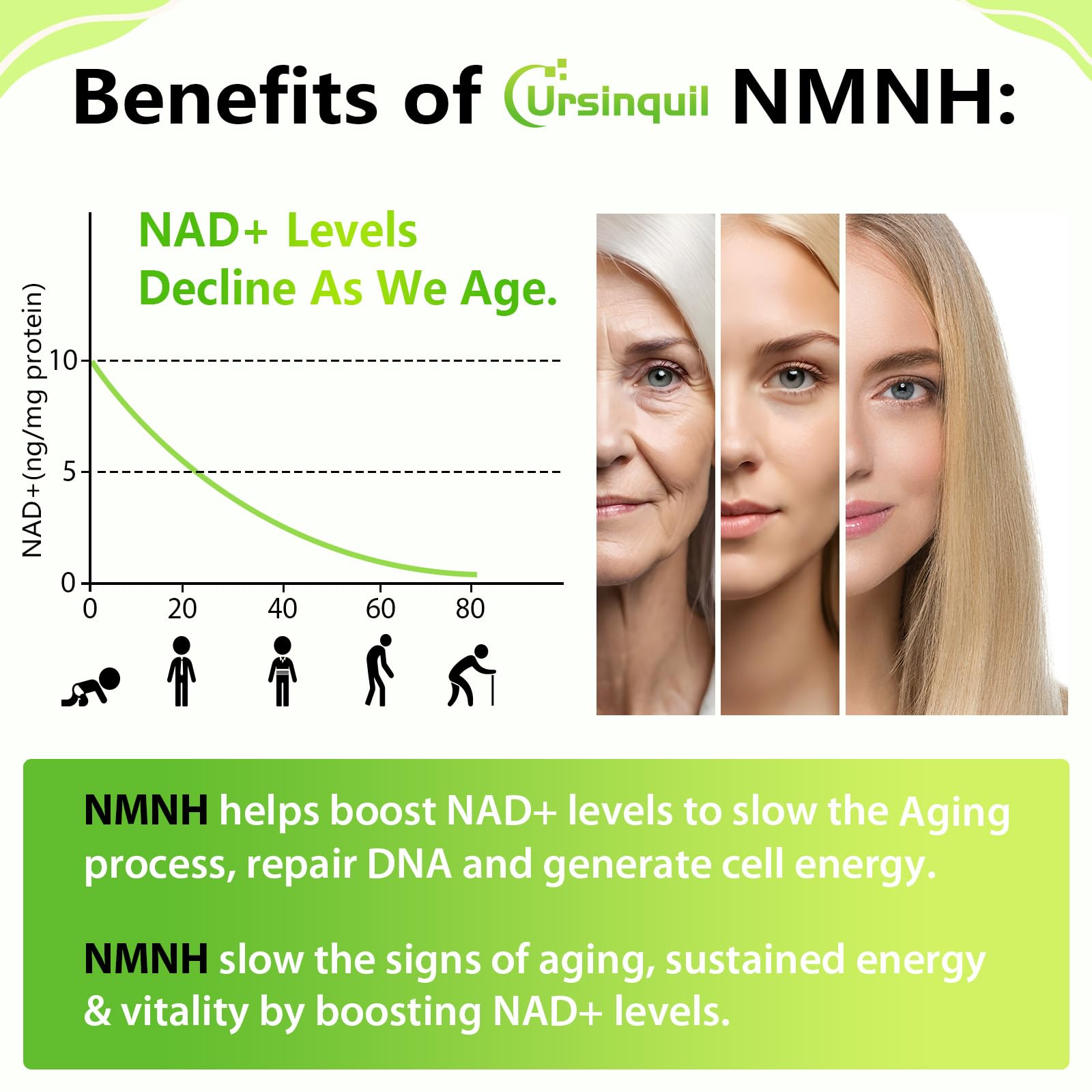Sublingual NMNH 500mg (Dihydronicotinamide Mononucleotide) (120 Servings, NMNH 500mg per Serving) NAD Supplement to Boost NAD Levels as We Age, for Anti-Aging, Energy, Immunity, Focus - 120 Count UrsinquilAu supplements