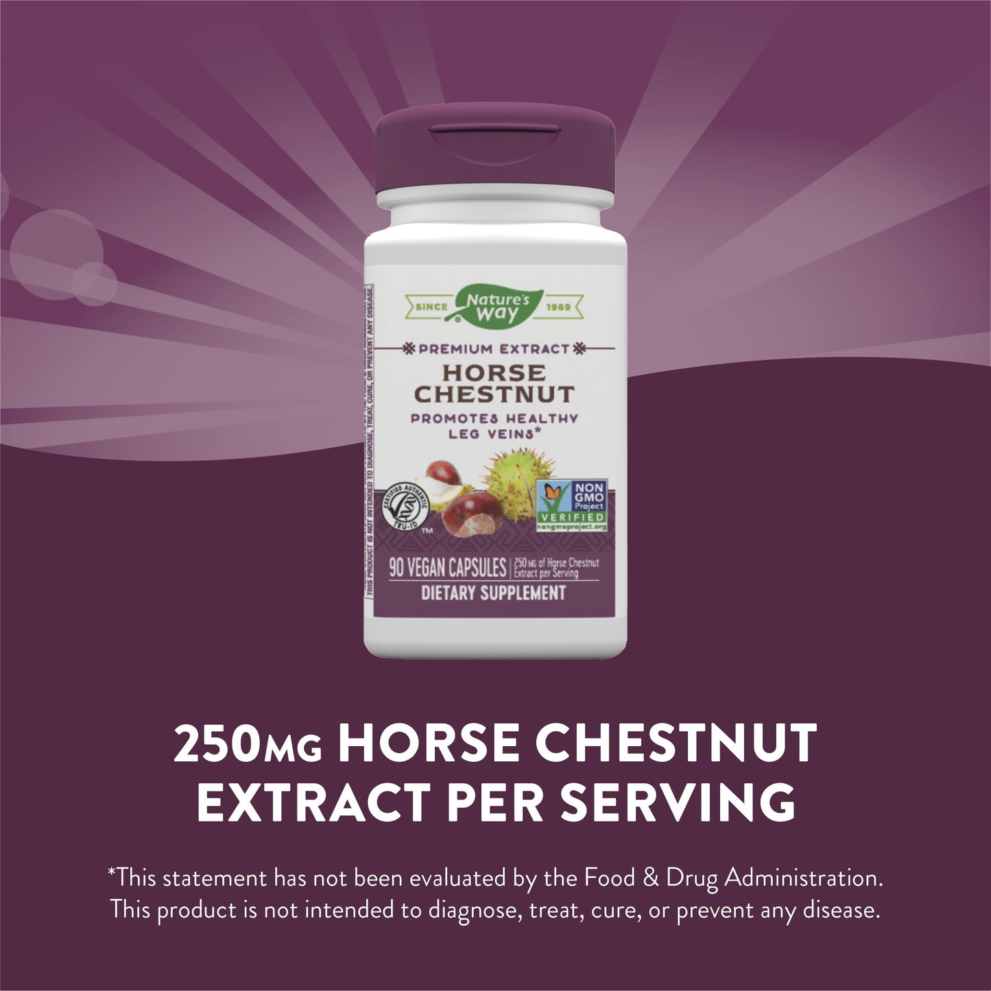 Nature's Way Standardized Horse Chestnut, Premium Extract for Healthy Veins and Blood Nature's WayUS supplements