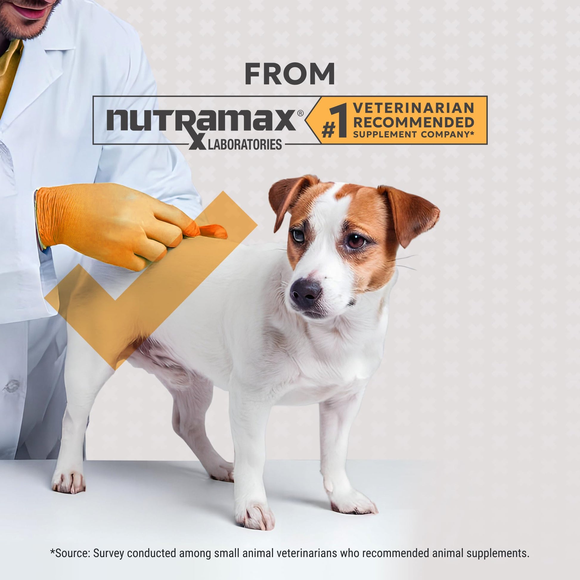 Nutramax Filaquin Anal Gland Supplement for Dogs, from The Same Company as Cosequin & Proviable, with Pre & Postbiotics and Psyllium Husk Fiber to Support Anal Gland Health, 90 Count Soft Chews Nutramax LaboratoriesAu supplements