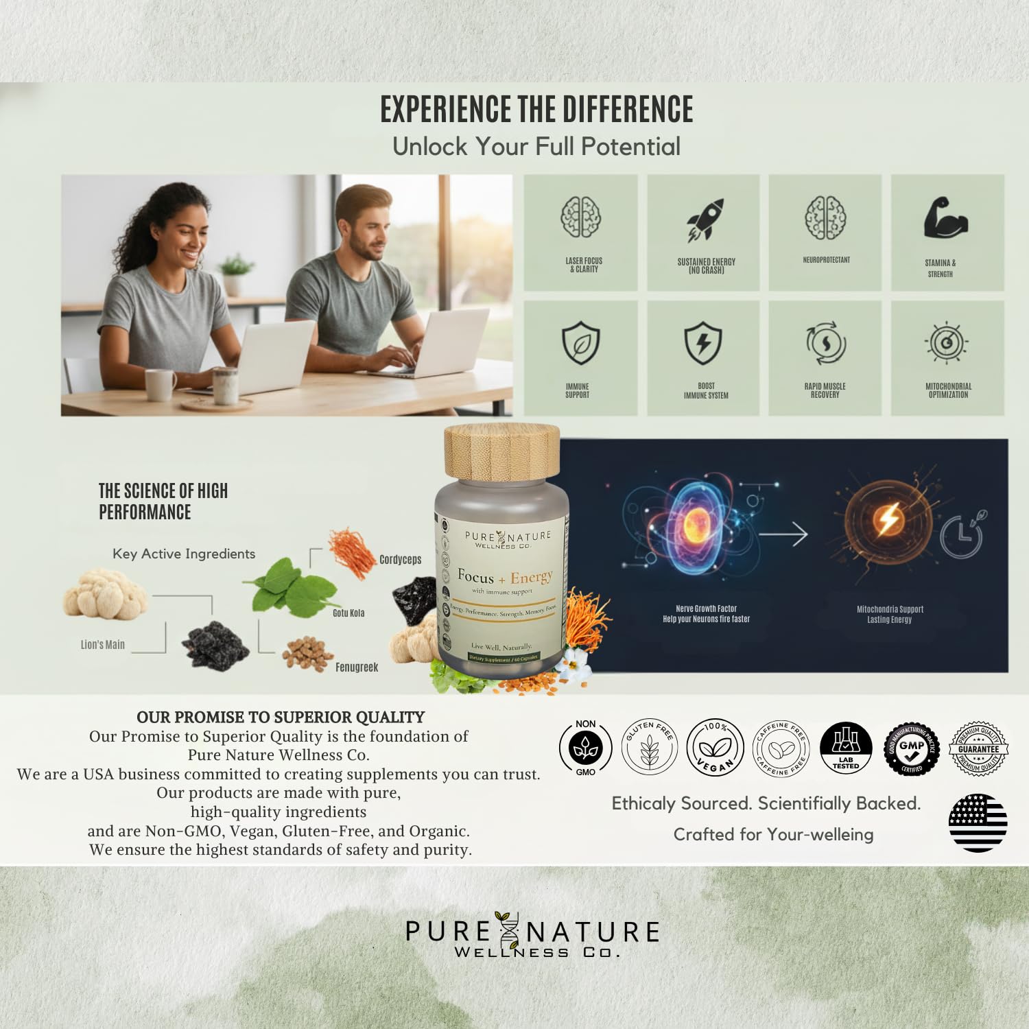 Focus + Energy + Performance Support-6-in-1 Mushroom Nootropic & Mitochondrial Complex-Advanced Brain Supplement-Natural Energy-Caffeine Free Biohack with Lion’s Mane,Cordyceps,Mumijo,Fenugreek Pure Nature Wellness Co.Au supplements