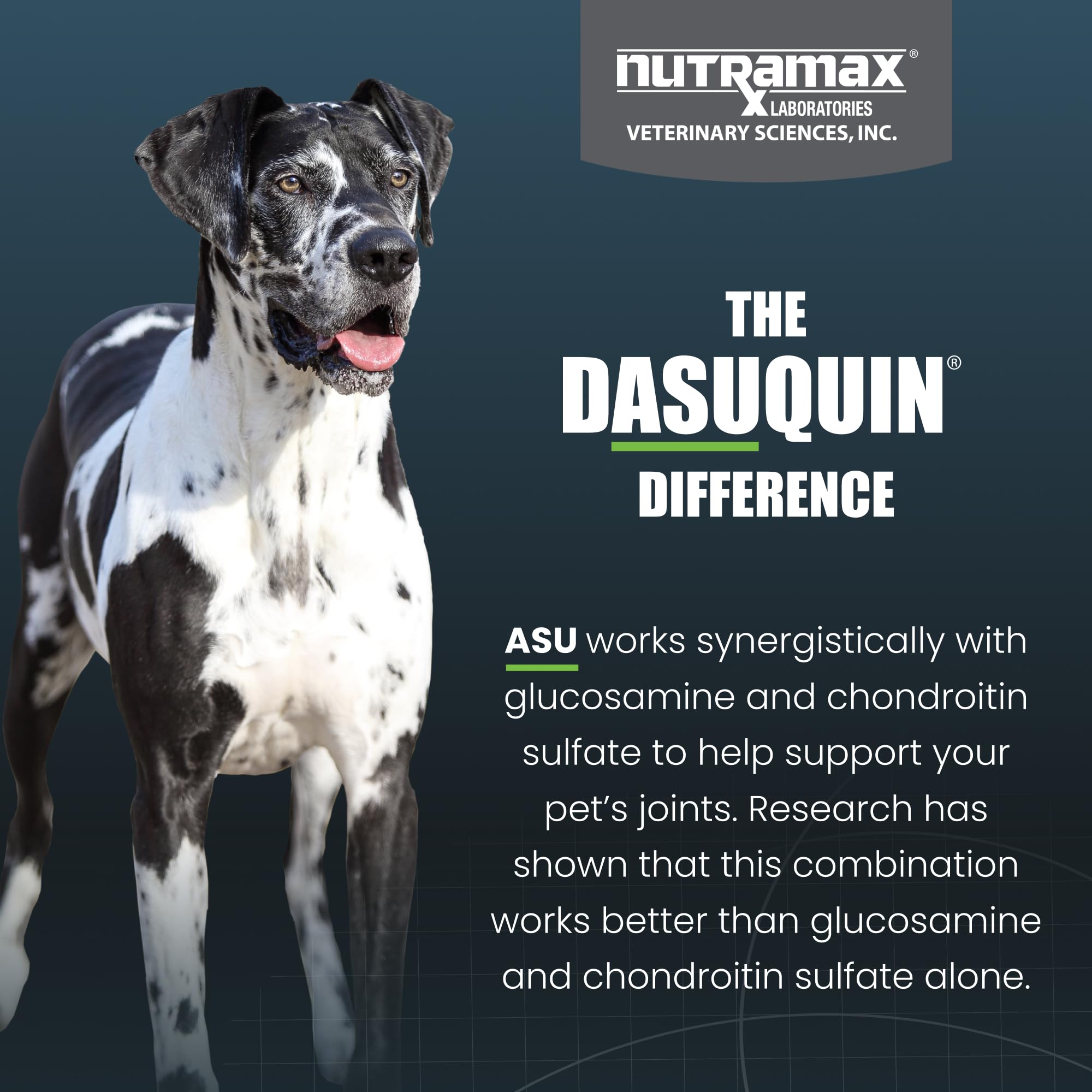 Nutramax Dasuquin for Large Dogs, Joint Health Supplement, Contains Glucosamine for Dogs, Plus Chondroitin, ASU, MSM and More, Supports Healthy Joints, Soft Chews, 150 Count Nutramax LaboratoriesAu supplements