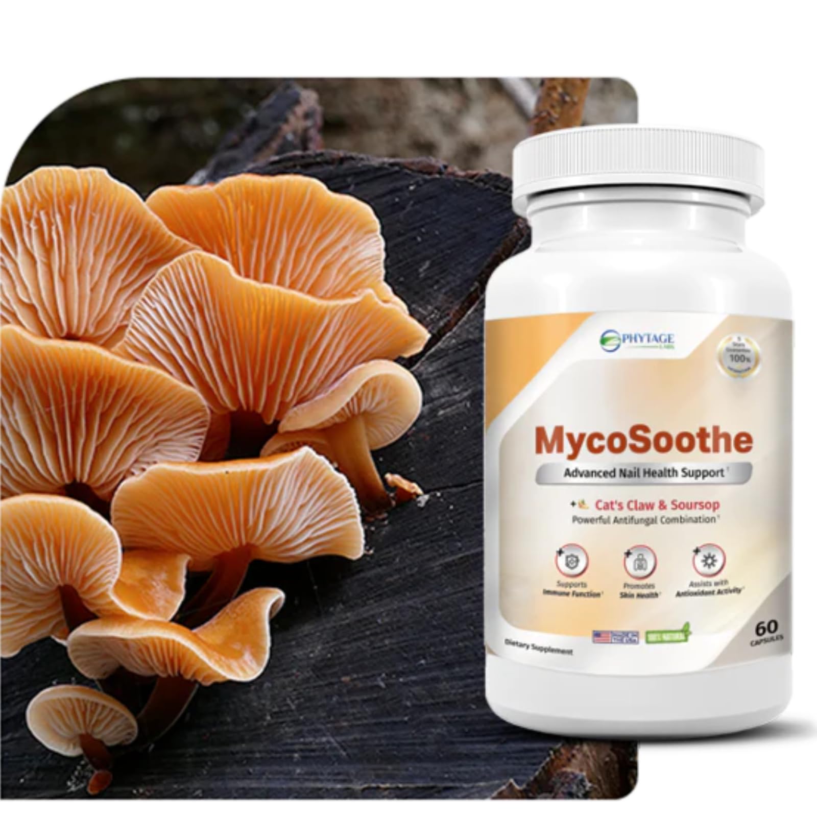 Phytage Labs MycoSoothe Advanced Hair, Skin, Nail & Immunity Support Formula - 60 Capsules Phytage LabsAu supplements