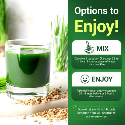 Dr. Berg's Wheatgrass Superfood Powder - Raw Juice Organic Ultra-Concentrated Rich Dr. Berg NutritionalsUS supplements