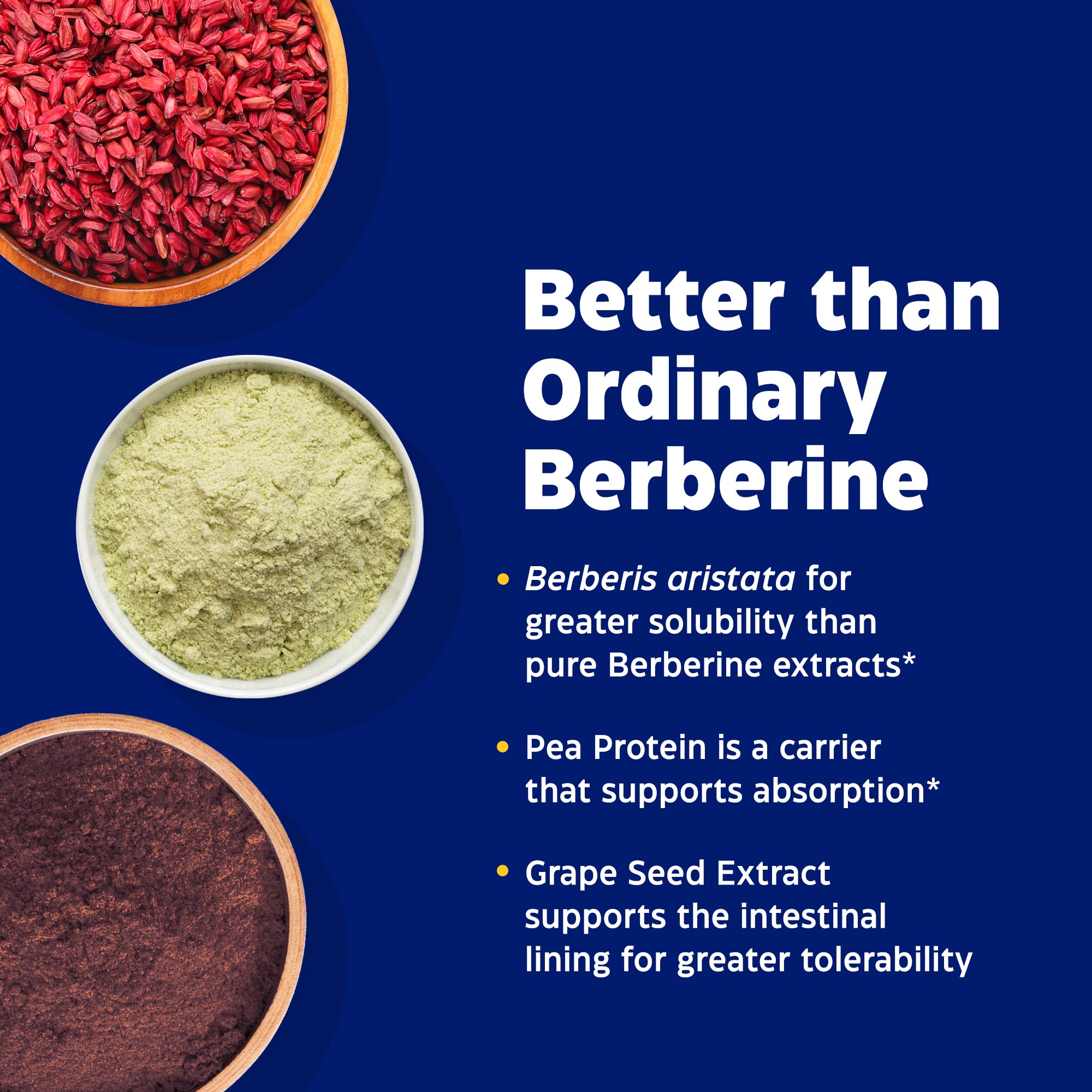 Enzymedica, Berberine Phytosome EnzymedicaAu supplements