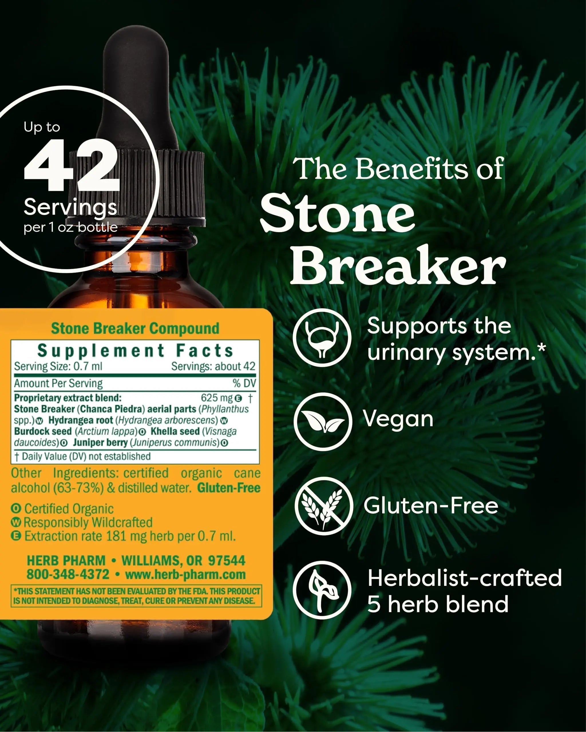 Herb Pharm Stone Breaker (Chanca Piedra) Compound Liquid for Urinary System Support - 1 Fl Oz Herb PharmAu supplements