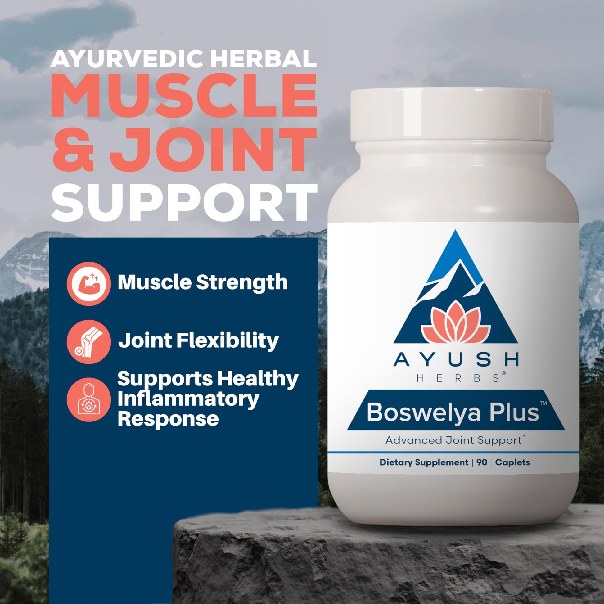 Ayush Herbs Boswelya Plus - Glucosamine Chondroitin Joint Support Supplement, Turmeric Muscle Support for Men & Women, Joint Care with Curcumin - 90 Vegetarian Capsules (1 Count) Ayush HerbsAu supplements