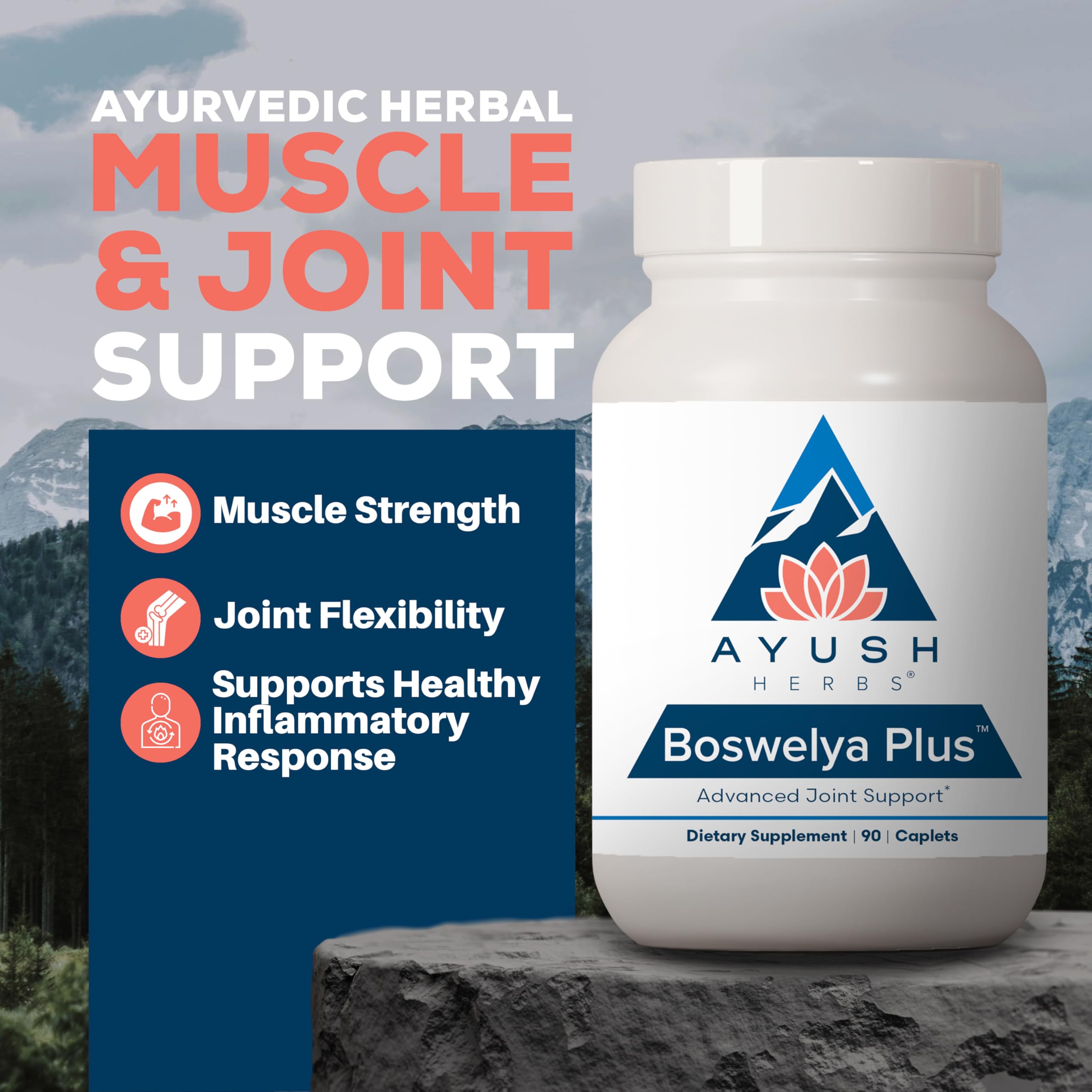 Ayush Herbs Boswelya Plus - Glucosamine Chondroitin Joint Support Supplement, Turmeric Muscle Support for Men & Women, Joint Care with Curcumin - 90 Vegetarian Capsules (1 Count) Ayush HerbsAu supplements