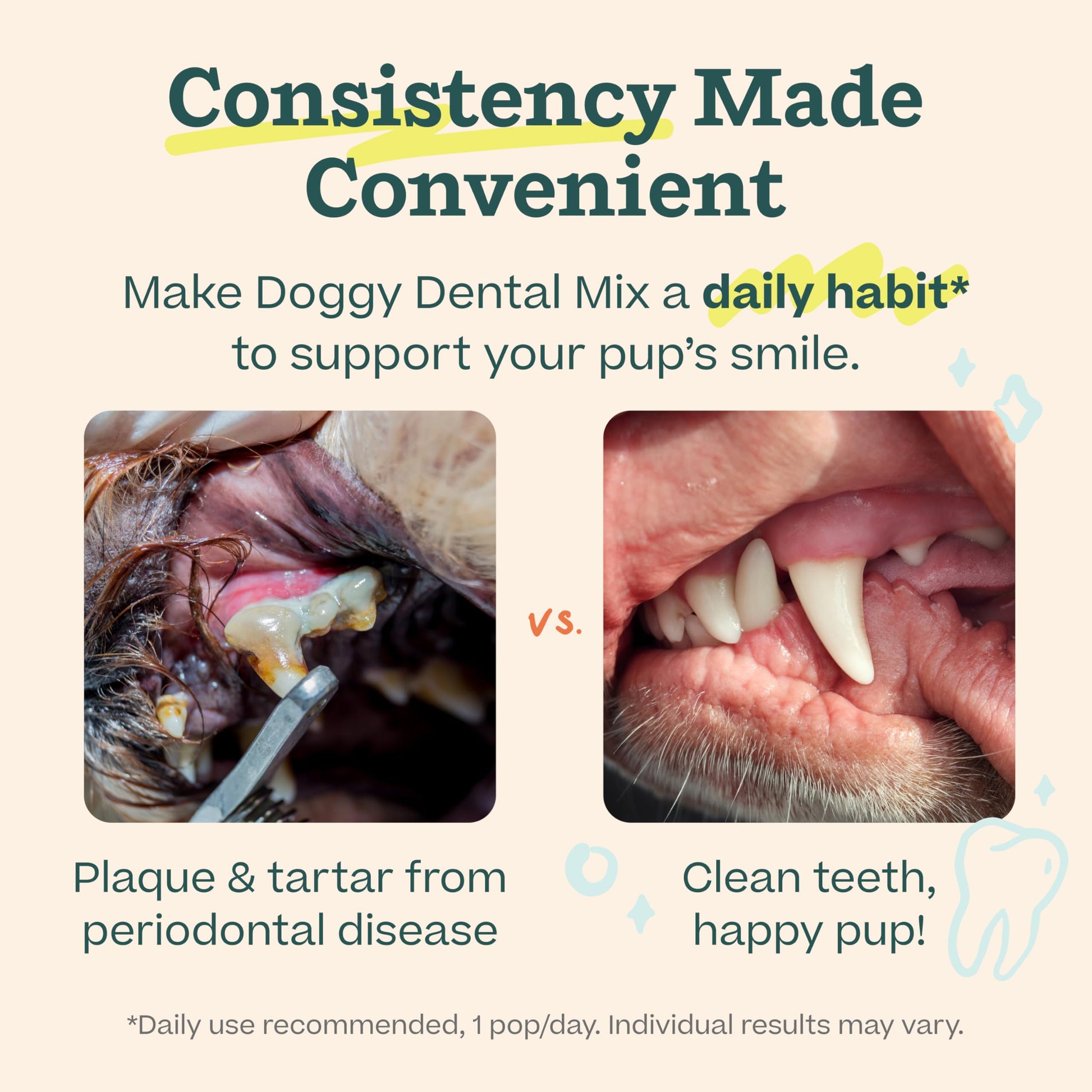 Woof Doggy Dental Pupsicle Mix - Dog Teeth Cleaning Powder for The Pupsicle - Long Lasting Postbiotic Dental Enzyme Mix to Support Oral Health for Dogs WOOFAu supplements