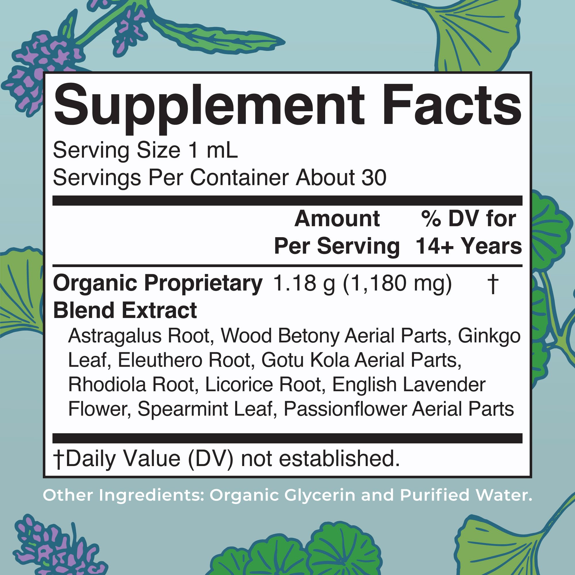 MaryRuth Organics - USDA Organic Brain Nootropic Supplement for Adults with Ginkgo Biloba & Astragalus | Focus & Adrenal Support | Brain & Memory Drops | Vegan | Non-GMO | Gluten Free | 30 Servings MARYRUTH'SUS supplements