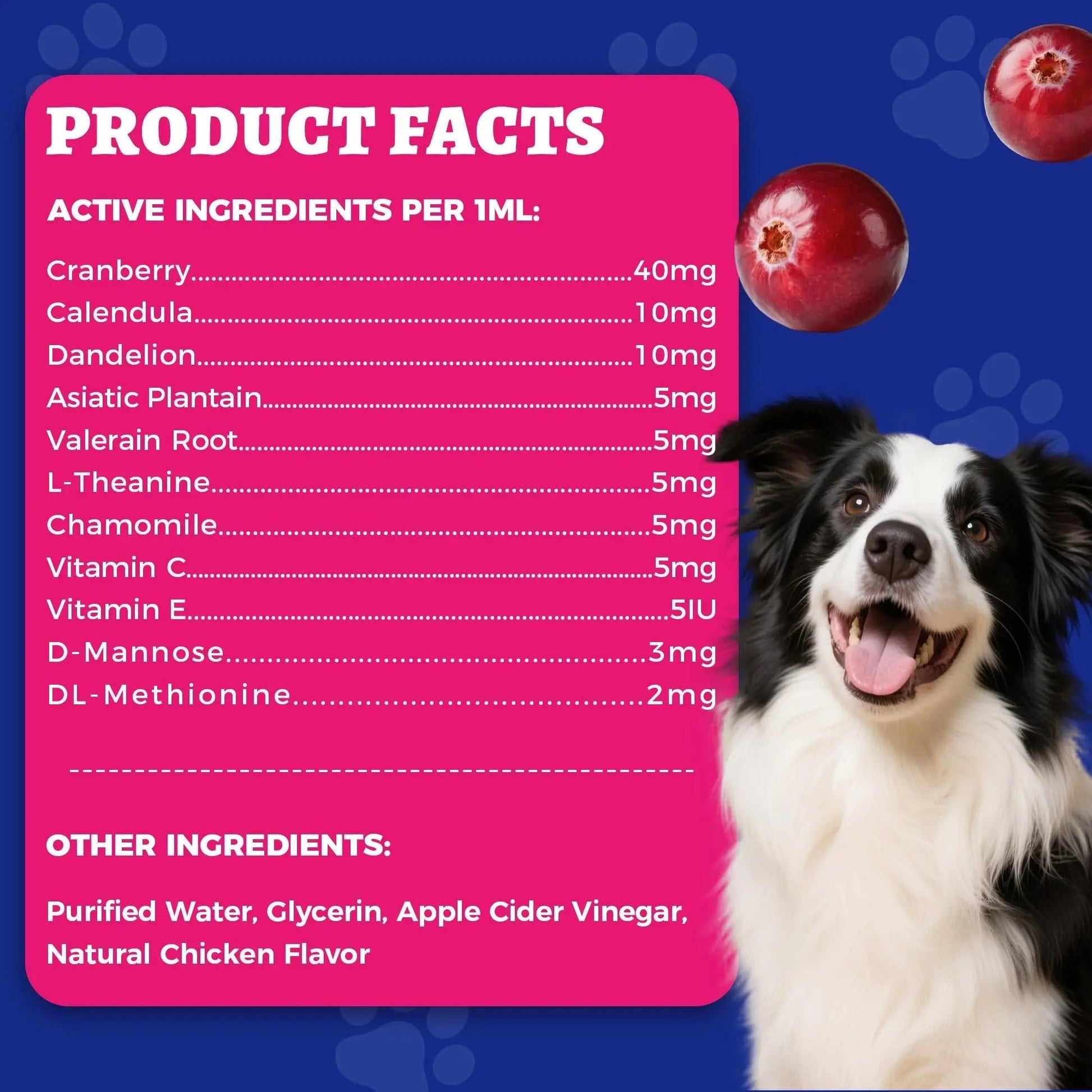 4oz Wellix Natural Cat & Dog UTI Treatment Drops,Cat & Dog Urinary Tract Infection Treatment - Cranberry & D-Mannose for Dogs & Cats - Kidney Health Supplement WellixAu supplements