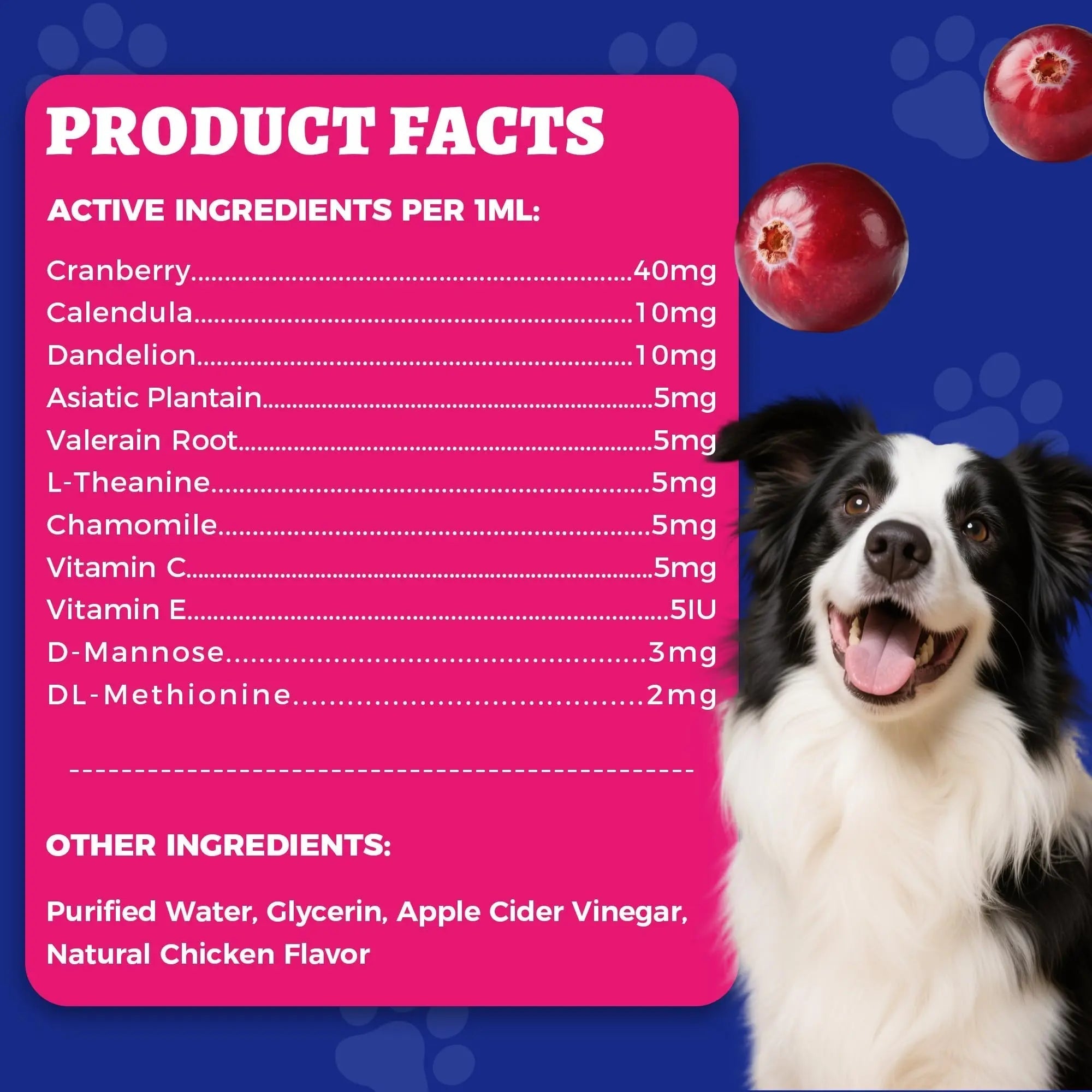 4oz Wellix Natural Cat & Dog UTI Treatment Drops,Cat & Dog Urinary Tract Infection Treatment - Cranberry & D-Mannose for Dogs & Cats - Kidney Health Supplement WellixAu supplements