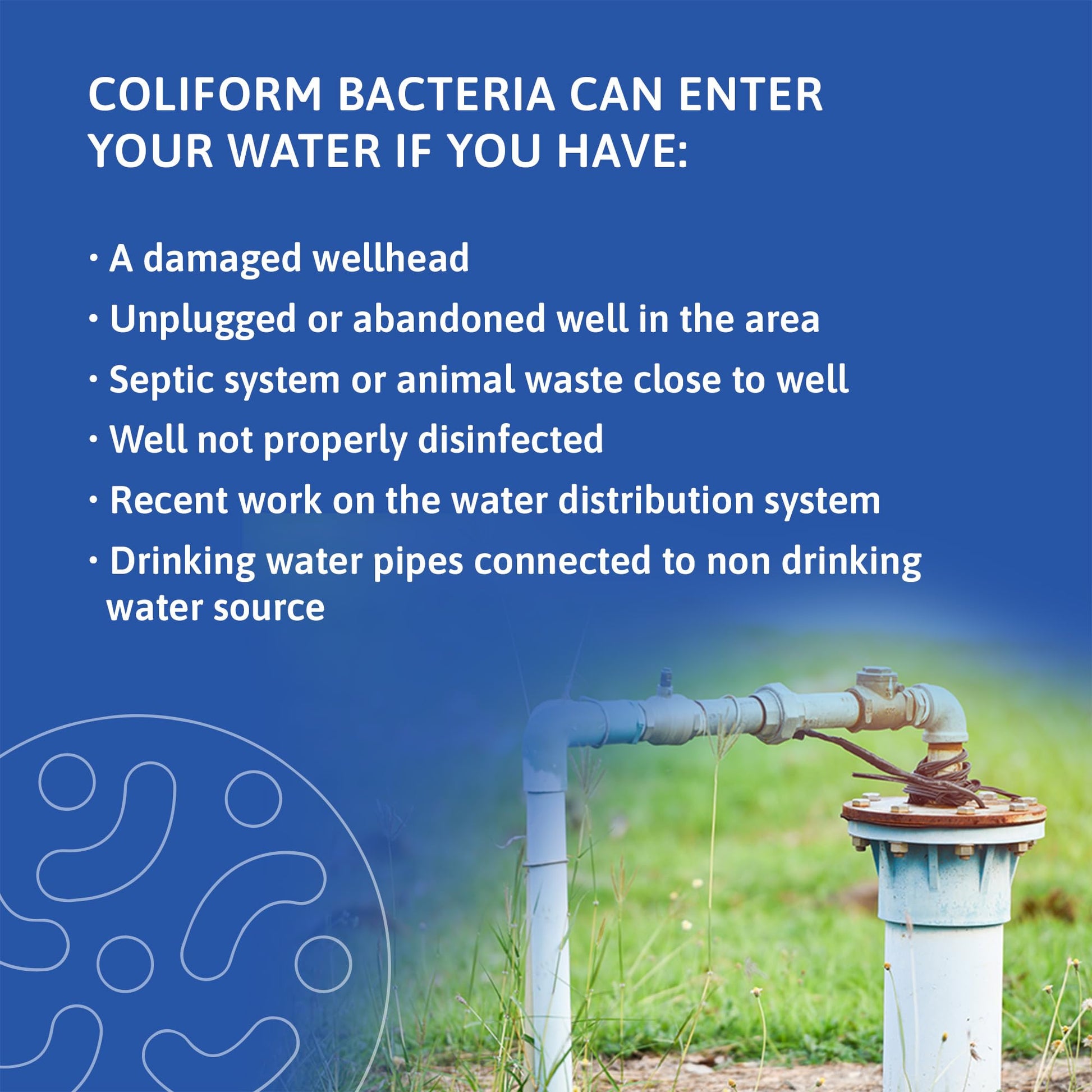 Exploro® Bacteria Water Test Kit, Pond Water Test Kit, Pool Water Testing Kit, Water Testing Kits for Drinking Water for Coliform (E. coli), EPA Approved Pool Test Kit (1 Pack) ExploroAu supplements