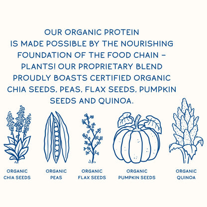 KOS Plant Based Protein Powder, Blueberry Muffin - Organic Pea Protein Superfood KOSUS supplements