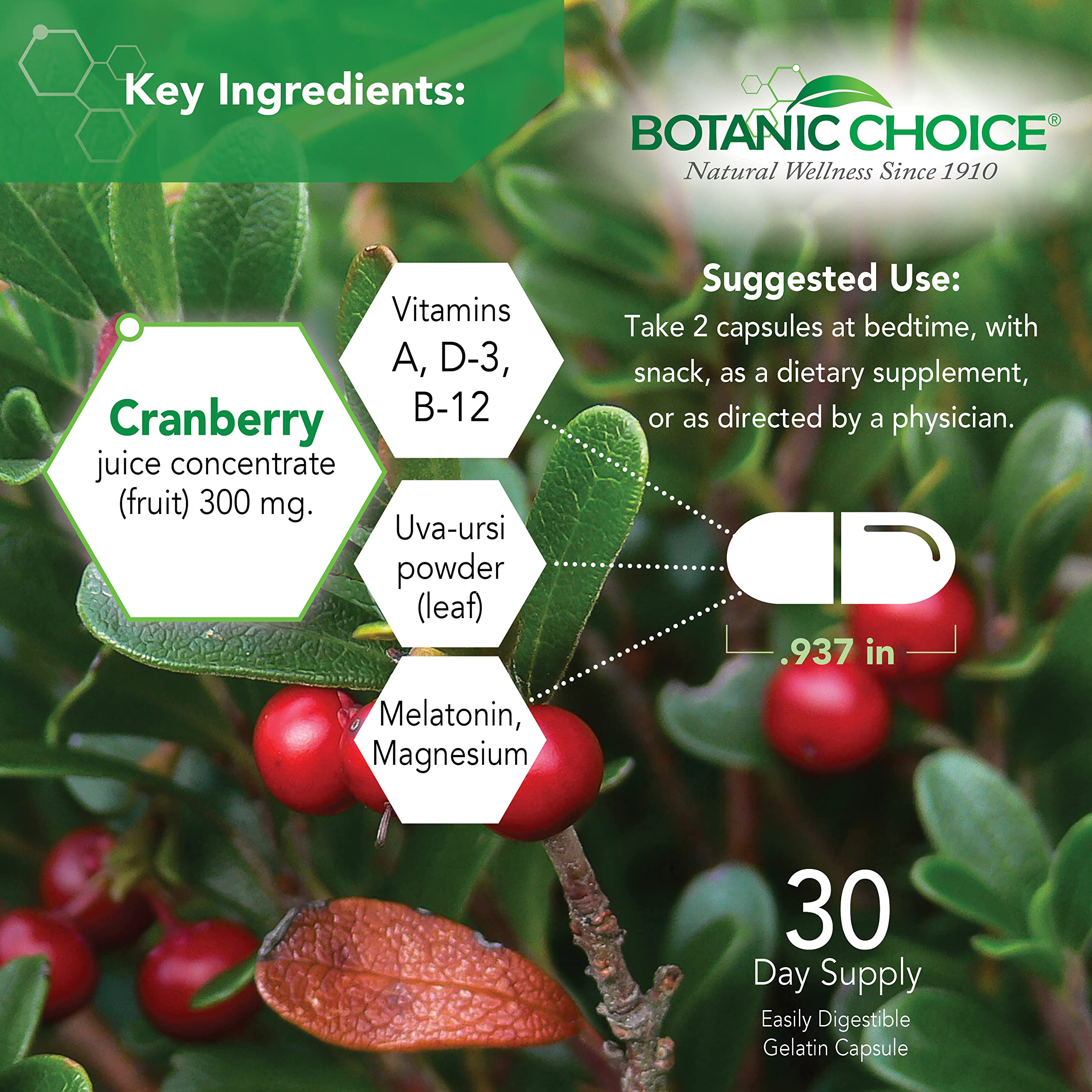 Botanic Choice Pro-Advanced Urinary Formula-Blend for Urinary Tract Health Support - Magnesium Cranberry Uva Ursi Damiana - 60 Capsules Botanic ChoiceAu supplements