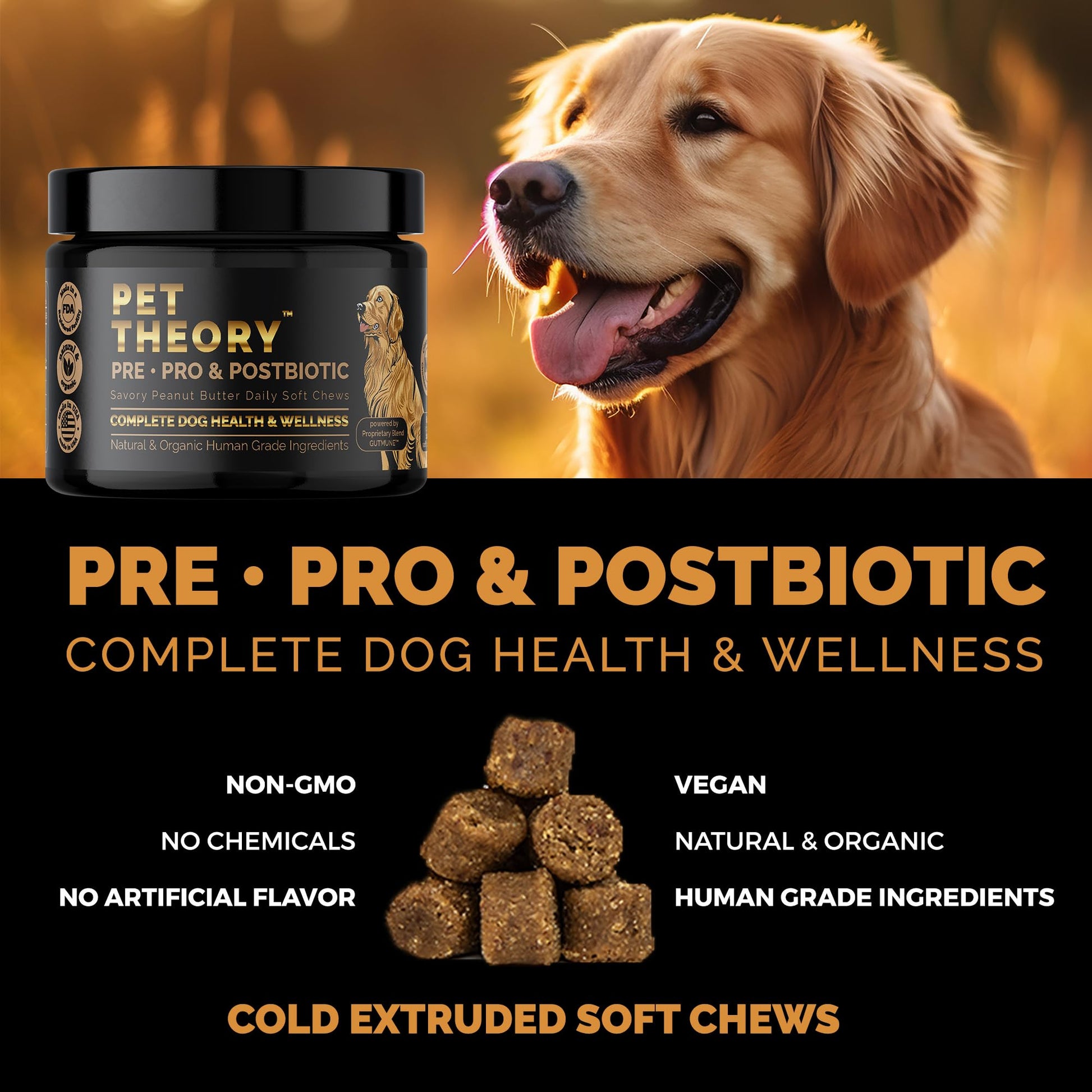 Pet Theory Probiotics for Dogs. Dog Digestive Health-Pre Pro and Postbiotic Combination-Pet Supplements for Gut Health-Supports Digestion, Boost Immunity-100CT Soft Chews Pet TheoryAu supplements