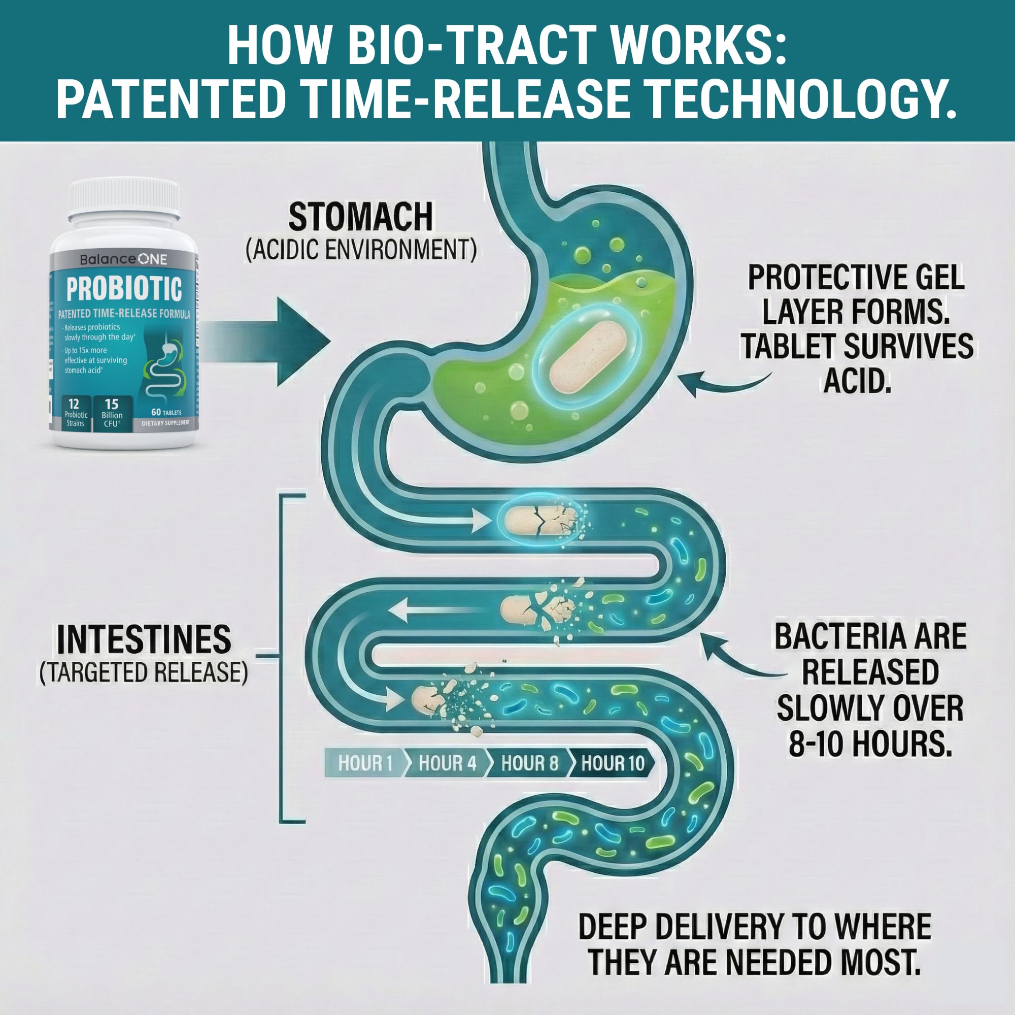 Balance ONE Time Release Probiotic – 15 Billion CFU – 12 Strains Including L. Plantarum – 15x More Survival Than Capsules – Bloating & Gas Relief – Gut & Digestive Health for Women & Men – 60 Tablets Balance ONEAu supplements