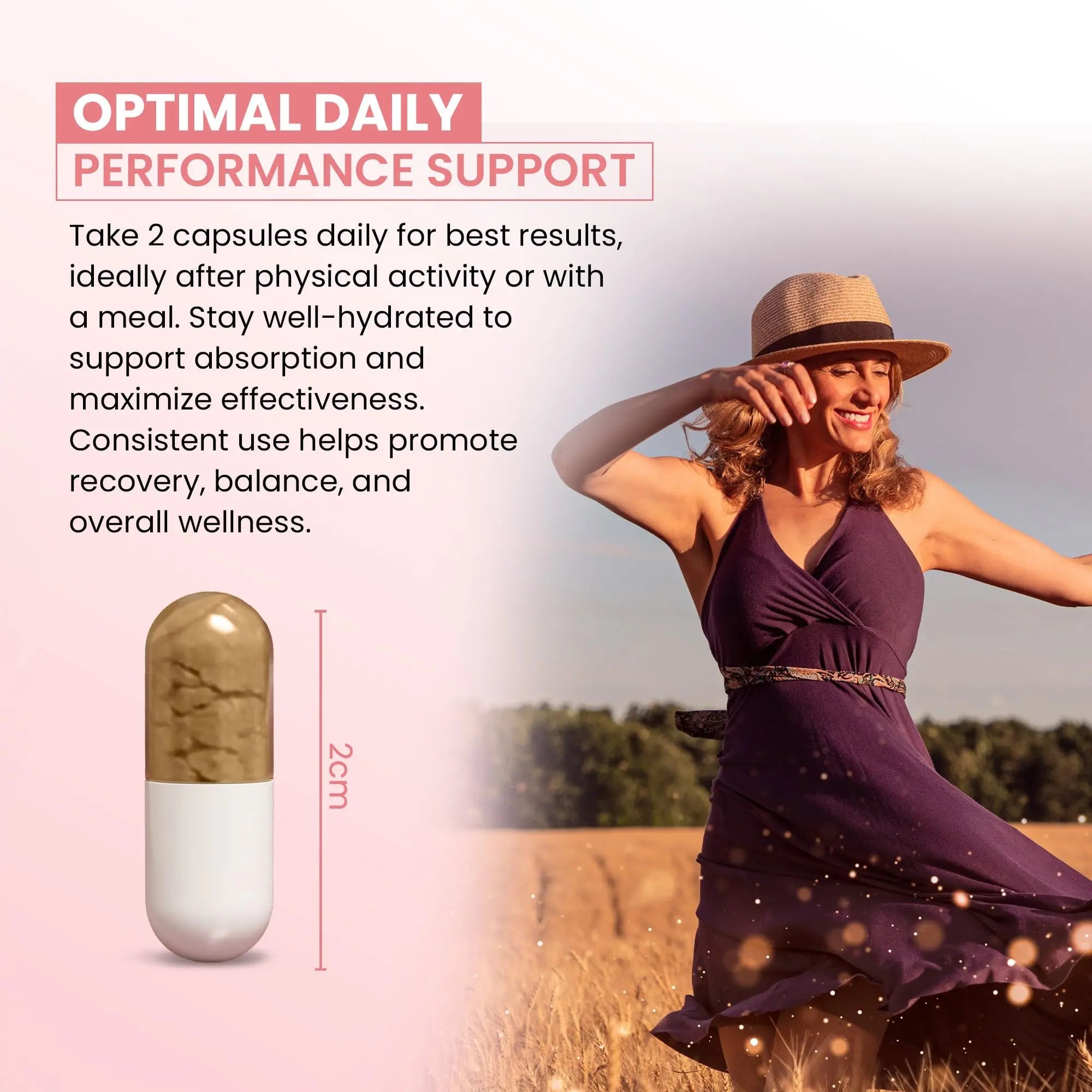 ZEN LIFE HERB UTFREx – Fast Acting - Promotes Urinary Tract Health Supports Healthy Immune and Urinary System, No Vitamins, Minerals, Prebiotics, Sugar, Plant-Based Supplement (60 Capsules) ZEN LIFE HERBAu supplements