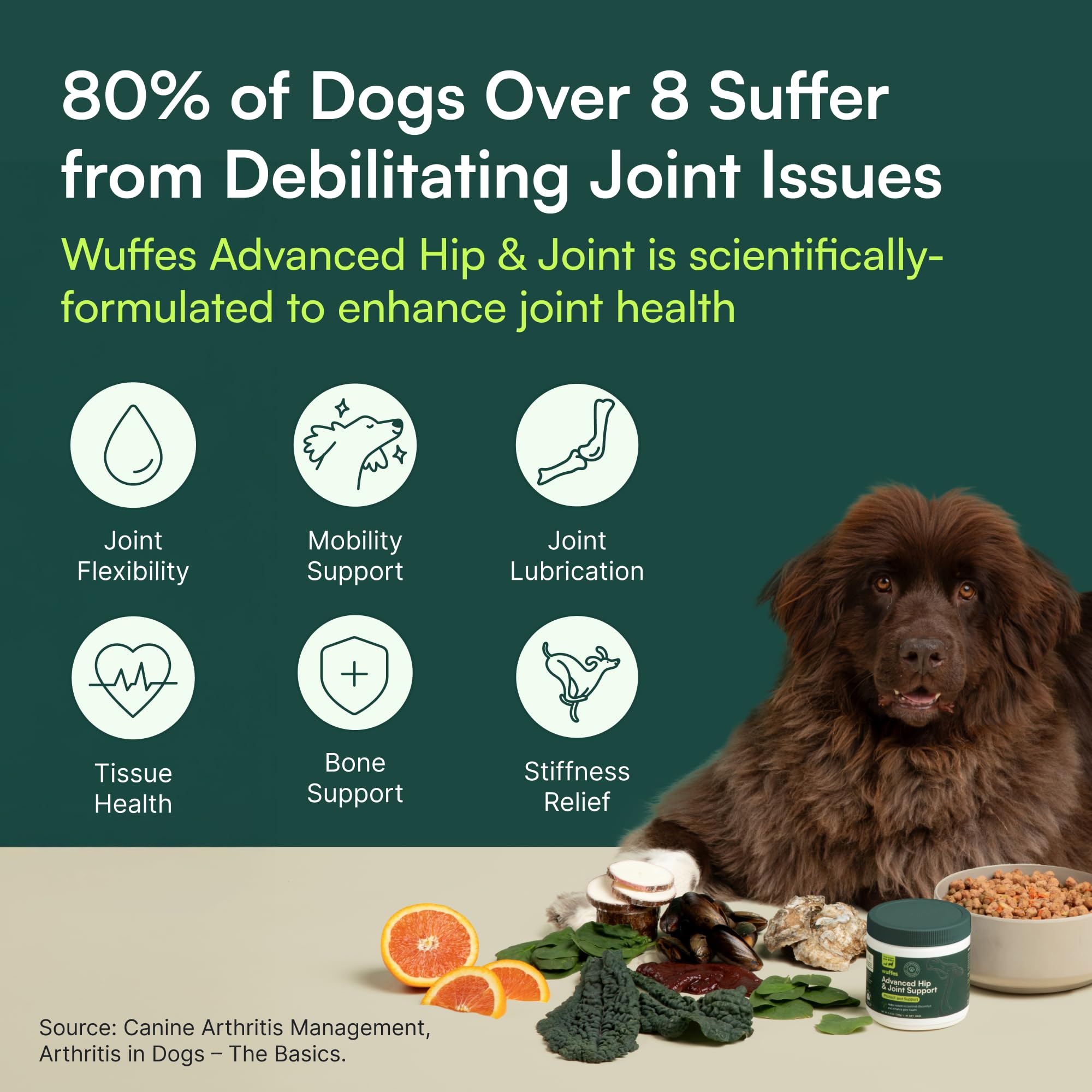 Wuffes Chewable Dog Hip & Joint Supplement - Glucosamine & Chondroitin Chews - Dog Joint Supplements & Vitamins - Extended Joint Care (Large Breed (Over 65 lbs), 60 Chews (Pack of 2)) WuffesAu supplements