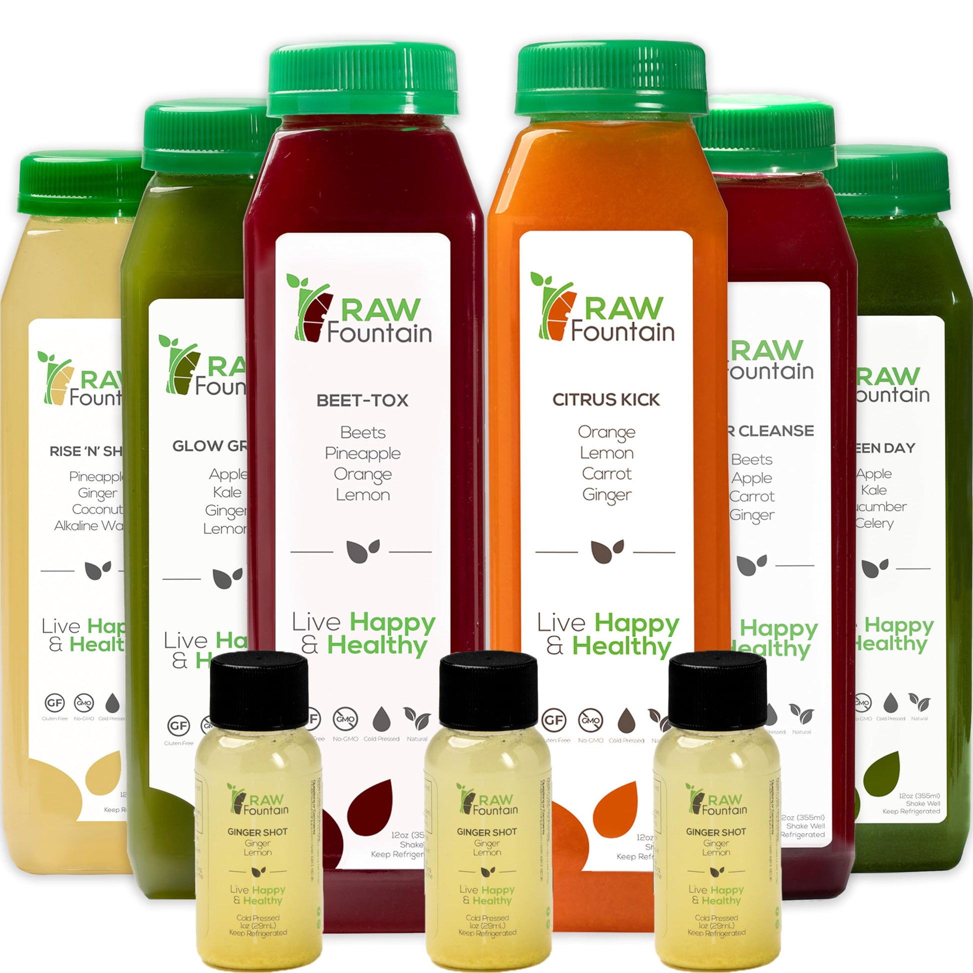 Raw Fountain 1 Day Juice Cleanse, All Natural Detox Cleanse, Cold Presssed Fruit Raw FountainUS supplements