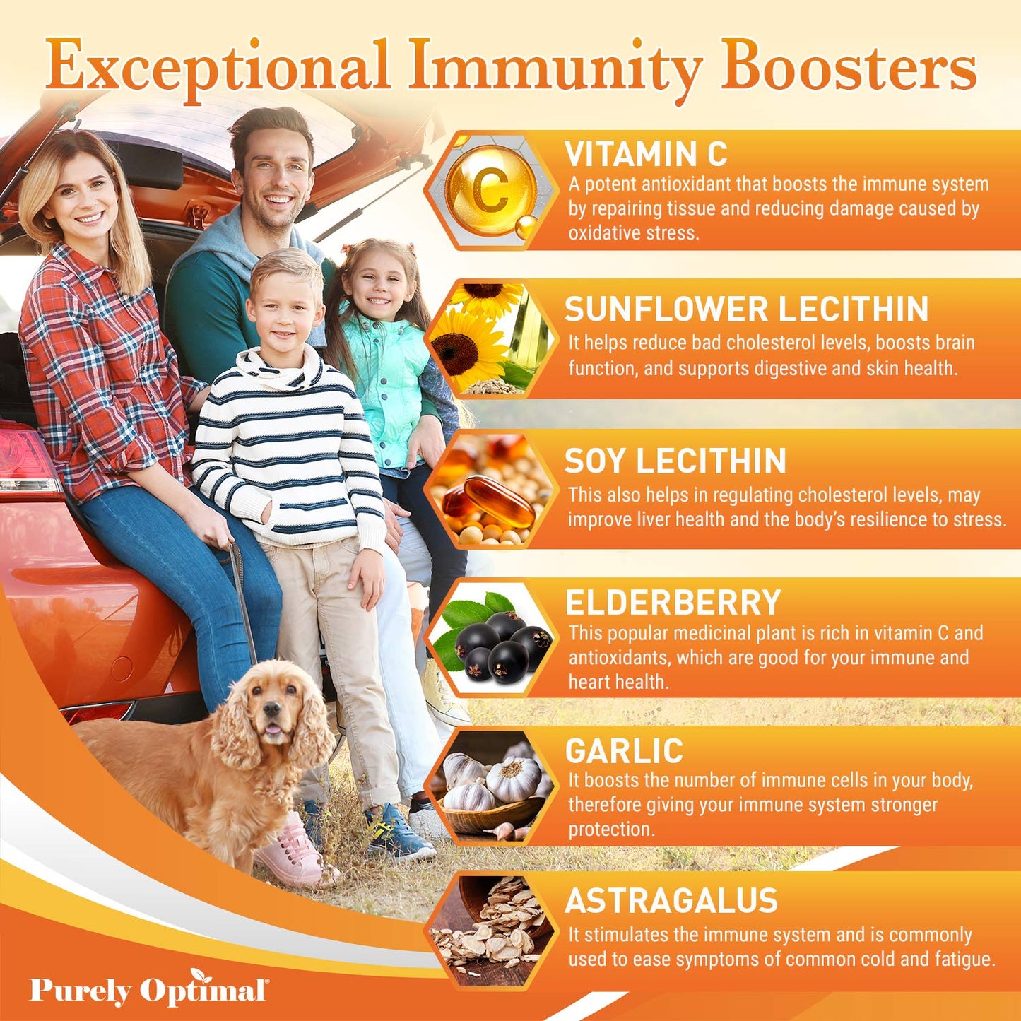 Premium Liposomal Vitamin C Supplement - High Absorption, Fat Soluble Ascorbic Acid Purely OptimalUS supplements