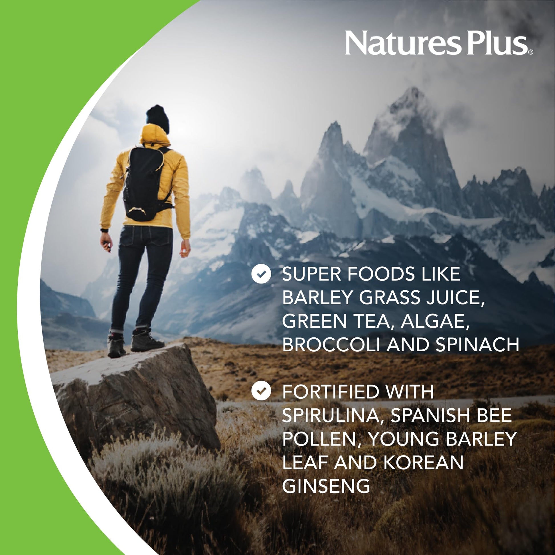 NaturesPlus FRUITEIN Revitalizing Green Foods Shake - 1.3 lbs - Plant-Based Protein (13g/Serving) - Supports Energy & Immune System - Vegetarian, Gluten Free & Non-GMO - 16 Servings NaturesPlusAu supplements