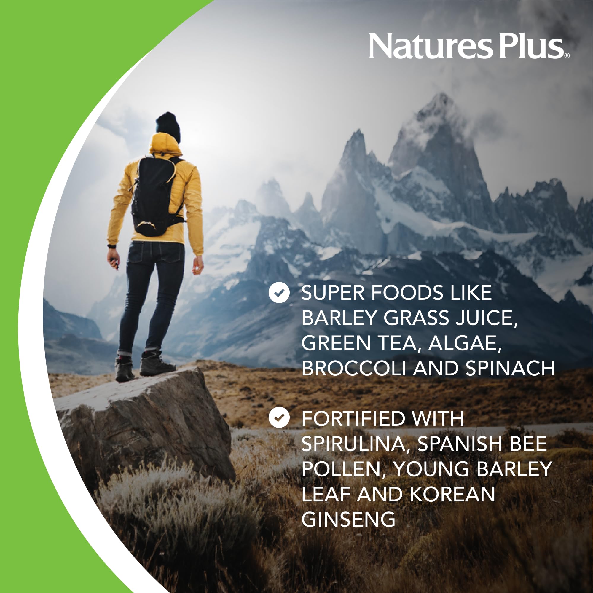 NaturesPlus FRUITEIN Revitalizing Green Foods Shake - 1.3 lbs - Plant-Based Protein (13g/Serving) - Supports Energy & Immune System - Vegetarian, Gluten Free & Non-GMO - 16 Servings NaturesPlusAu supplements
