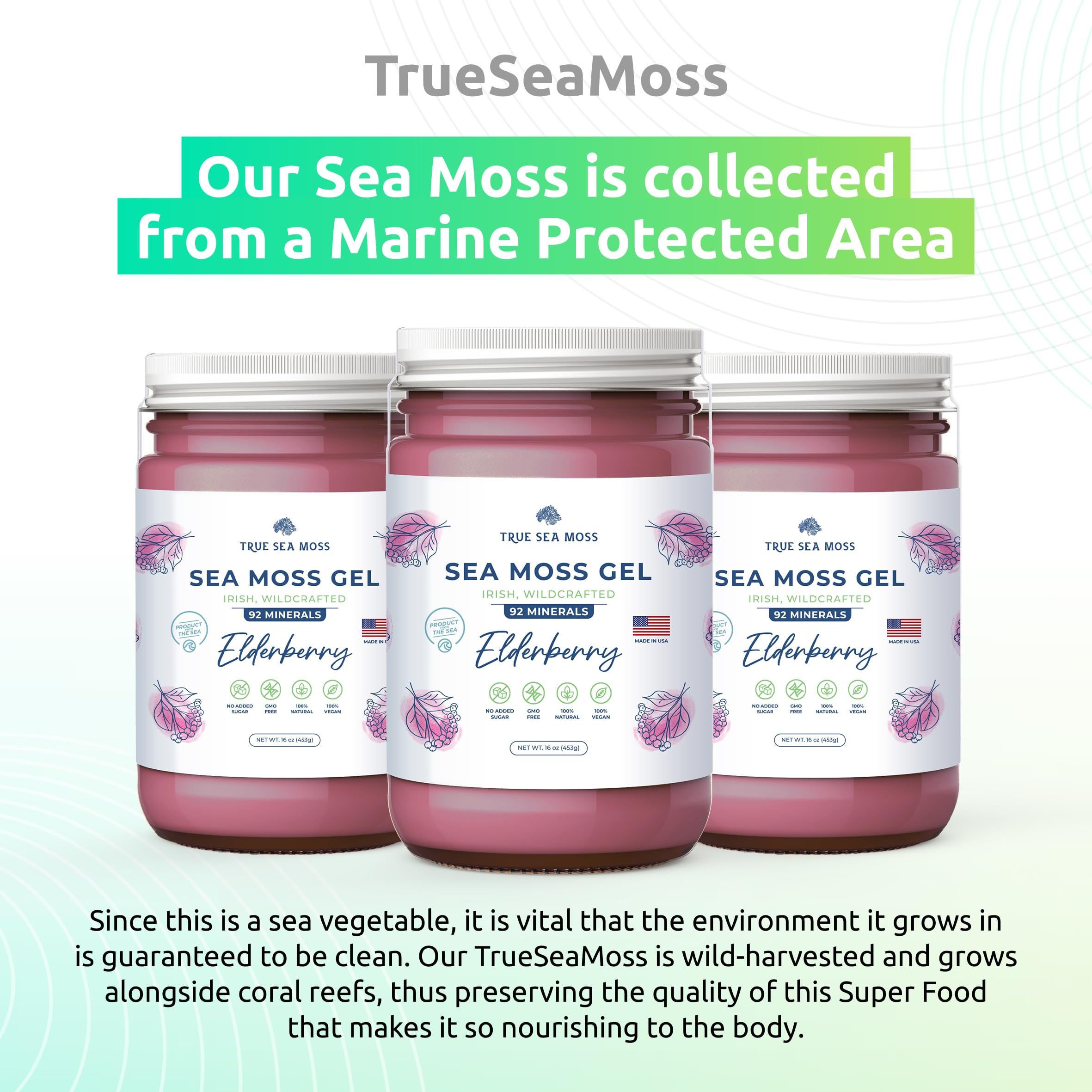 TrueSeaMoss Wildcrafted Irish Sea Moss Gel – Nutritious Organic Raw Seamoss Rich TrueSeaMossUS supplements