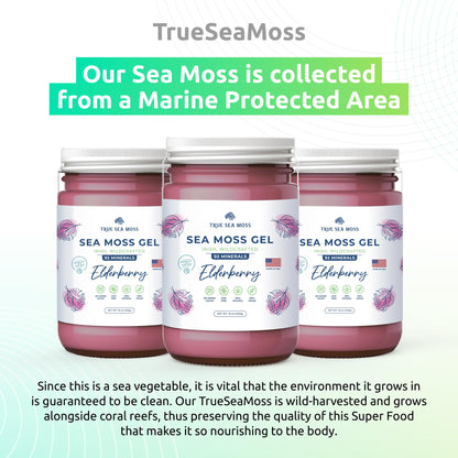 TrueSeaMoss Wildcrafted Irish Sea Moss Gel – Nutritious Organic Raw Seamoss Rich TrueSeaMossUS supplements