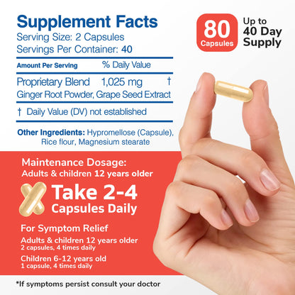 Dizzy Stop Dr. Barton’s All-Natural Vertigo Comfort, Inner Ear Balance Supp Dizzy StopUS supplements