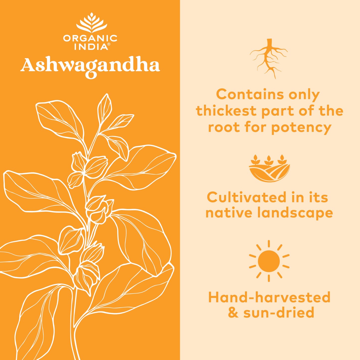 Organic India Ashwagandha Herbal Supplement - Stress Response Support, Vegan, Gluten Organic IndiaUS supplements