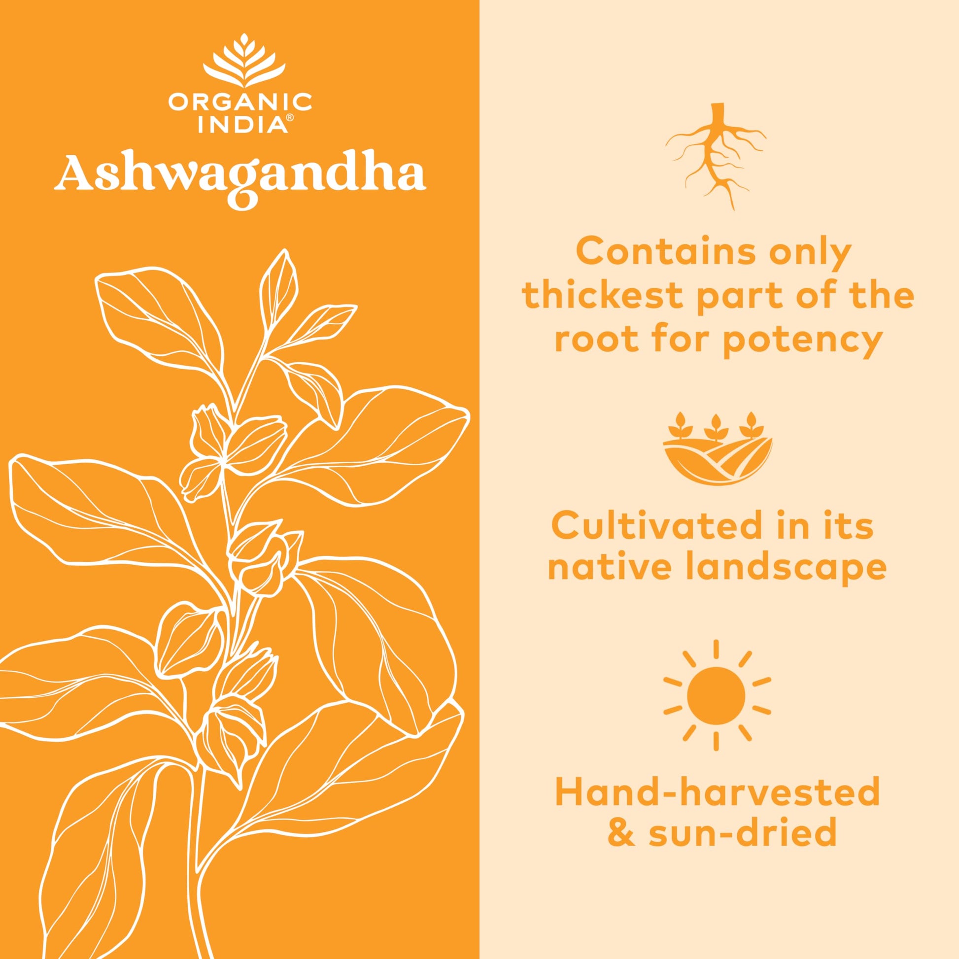 Organic India Ashwagandha Herbal Supplement - Stress Response Support, Vegan, Gluten Organic IndiaAu supplements