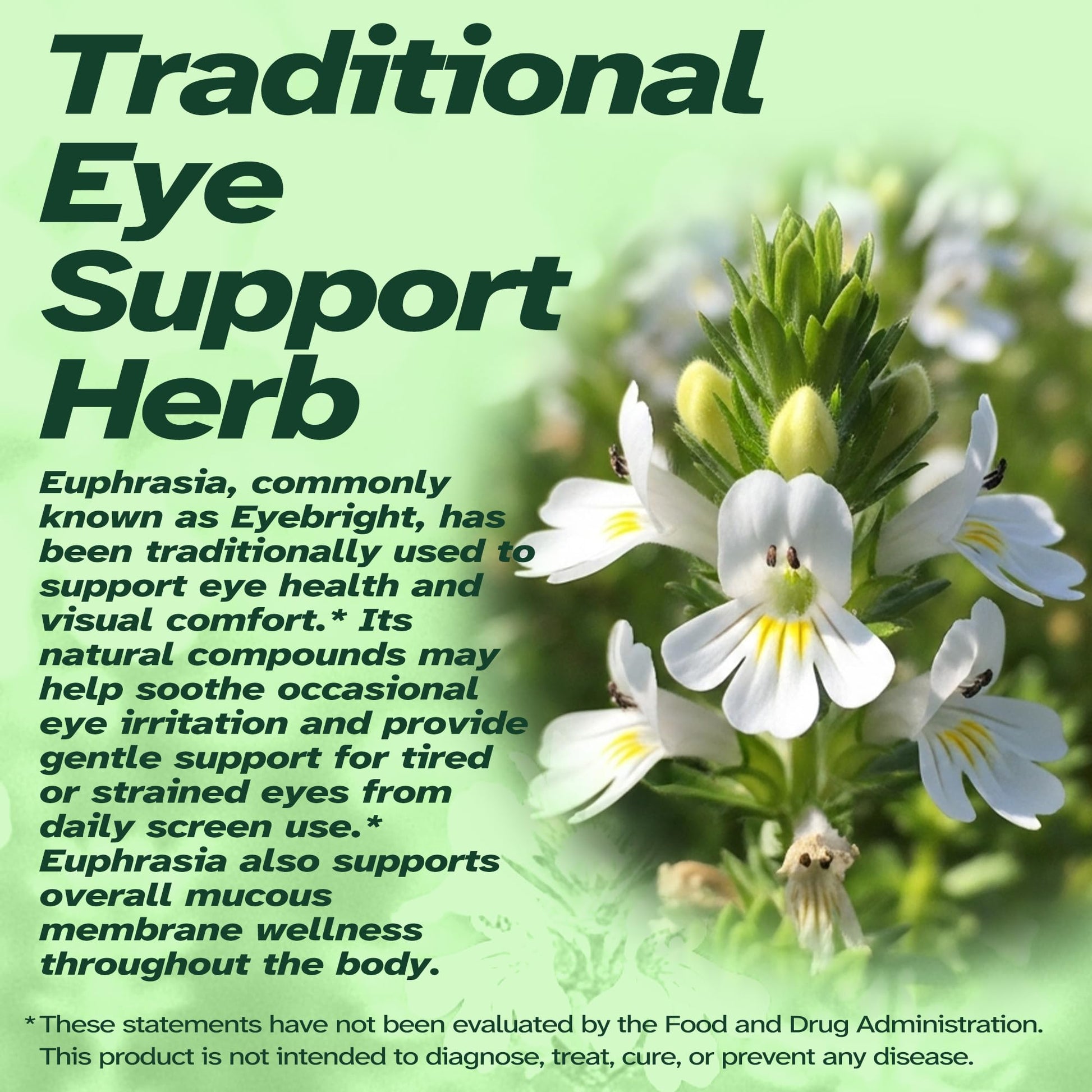 Vitalumina Eyebright Herbal Liquid with Organic Euphrasia, Lutein, Bilberry, Blueberry & Goji – Plant-Based Vegan Supplement for Adults – 4 fl oz VitaluminaAu supplements