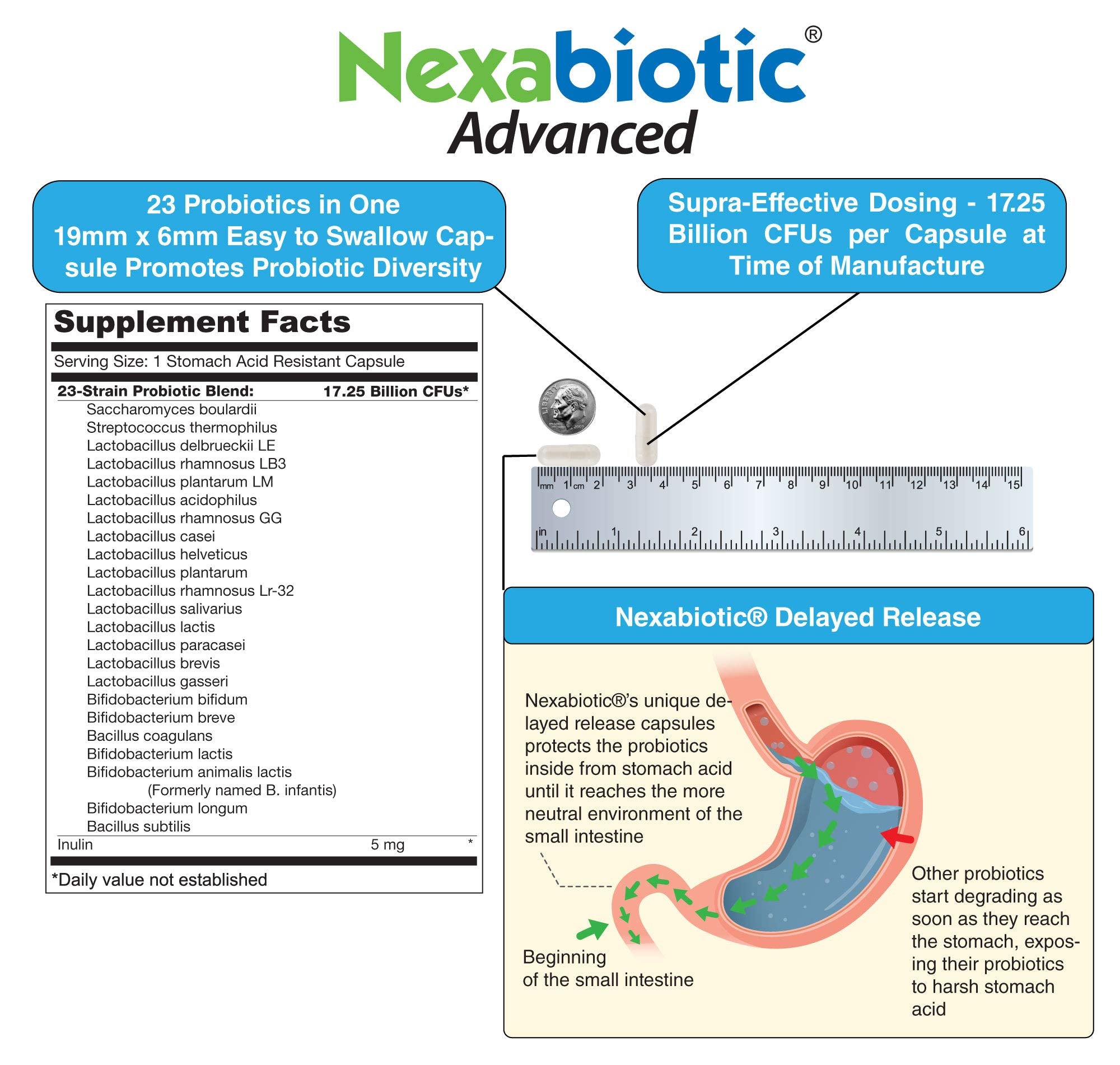 DrFormulas Nexabiotic 23 Multi Probiotic for Women and Men - Dr. formulated with Lactobacillus Acidophilus, Bifidobacterium Infantis, Saccharomyces Boulardii, 17.25 Billion CFUs DrFormulasAu supplements