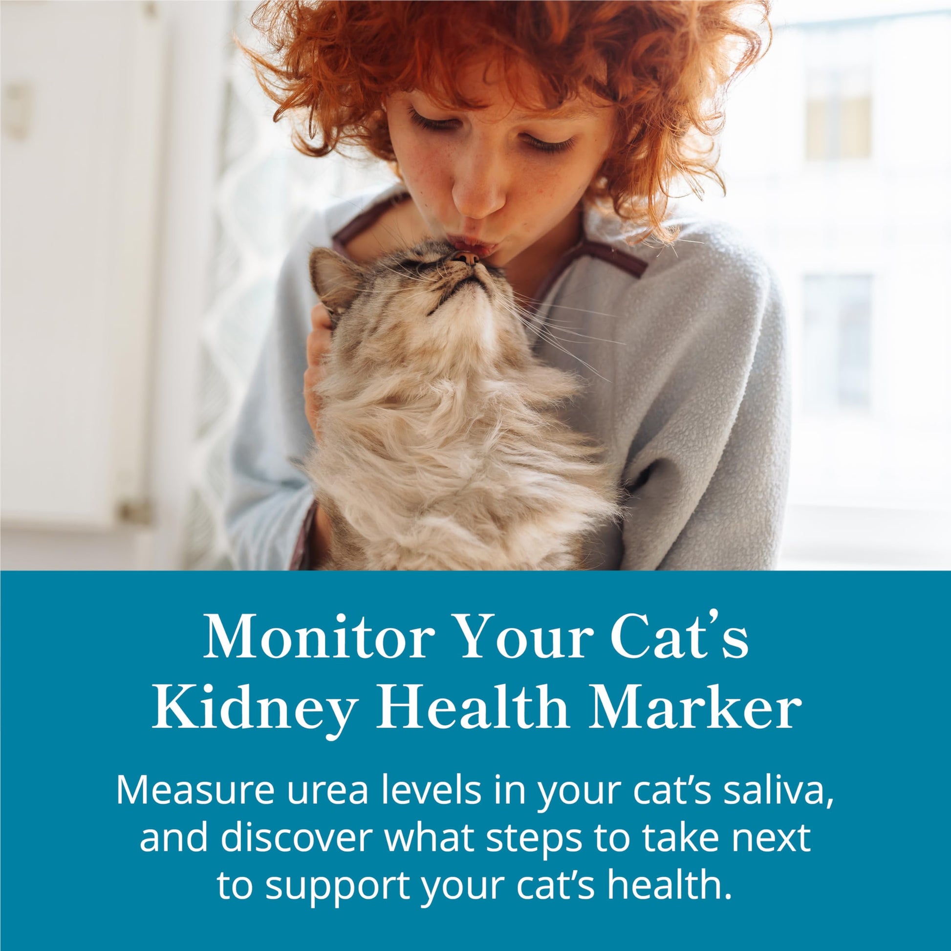 Petivity At-Home Kidney Health Test Kit for Cats — Quick Saliva Urea Test (2-Minute Home Check), Powered by Purina — Help Detect Early Kidney Changes - (Pack of 3) petivityAu supplements