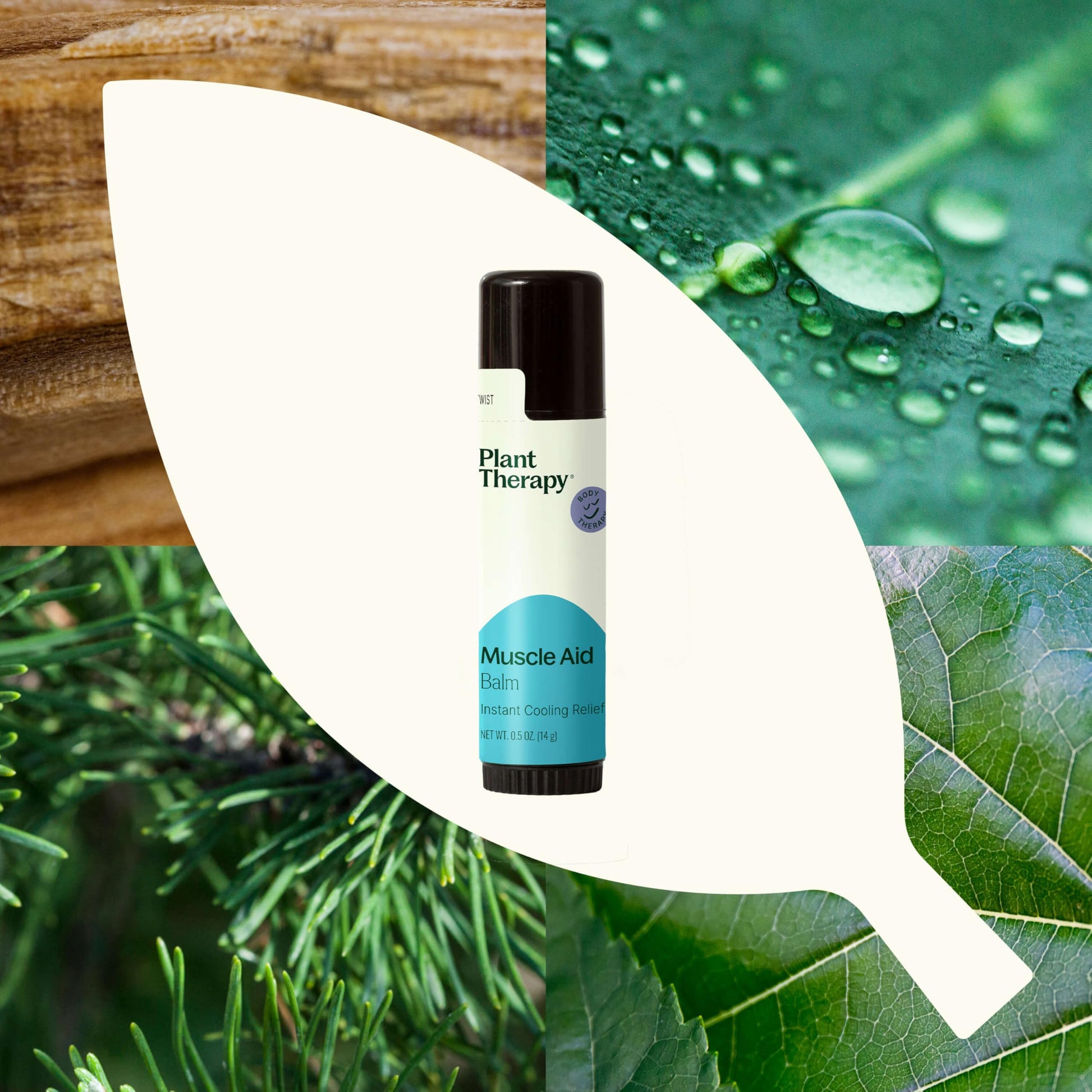 Plant Therapy Muscle Aid Balm .5 oz Soft & Creamy Balm, Cooling Relief, Natural Ingredients Plant TherapyAu supplements