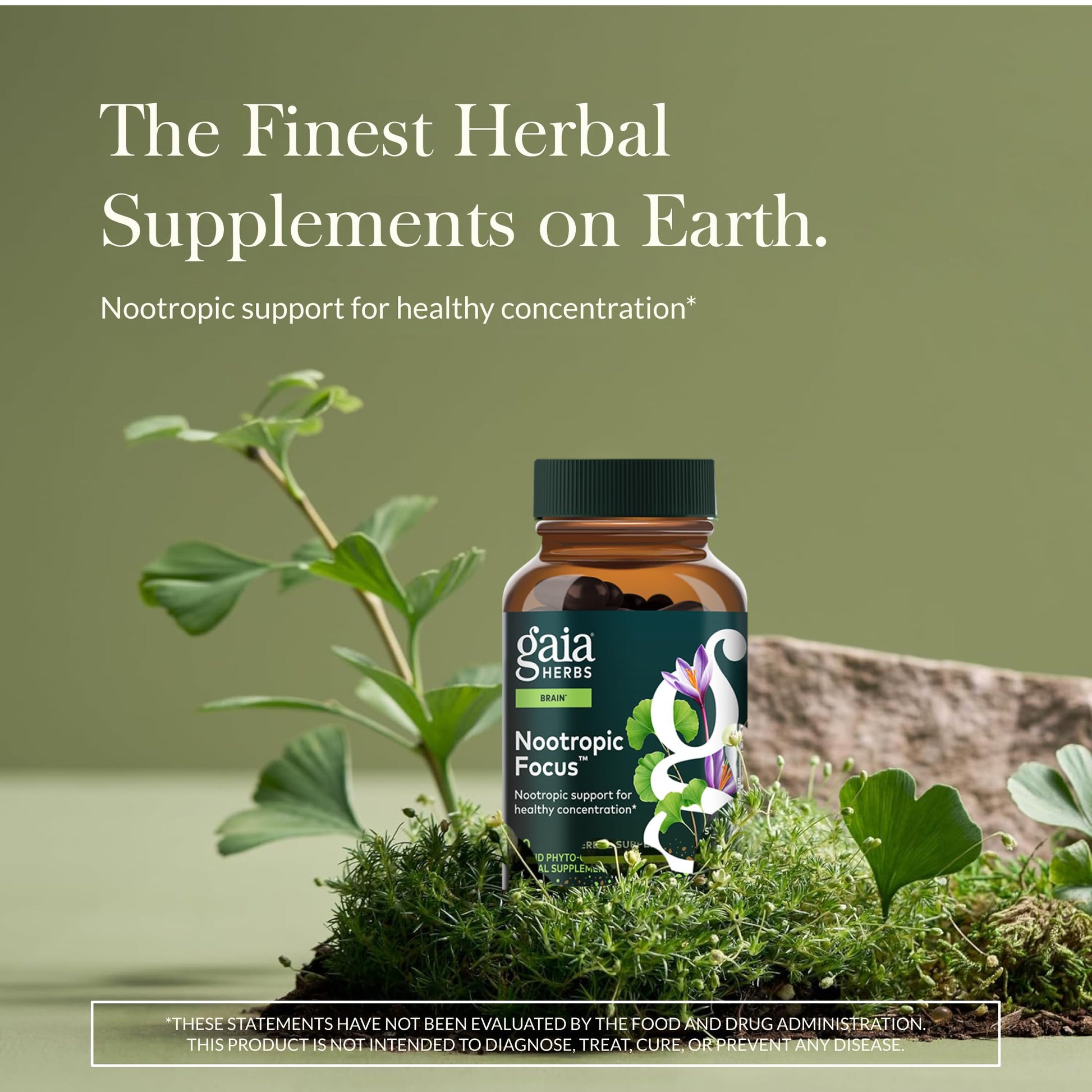 Gaia Herbs Nootropic Focus - Brain & Cognitive Support Supplement to Help Maintain Healthy Concentration* - with Saffron, Lemon Balm & Spearmint - 40 Liquid Phyto-Capsules (20 Servings) Gaia HerbsAu supplements