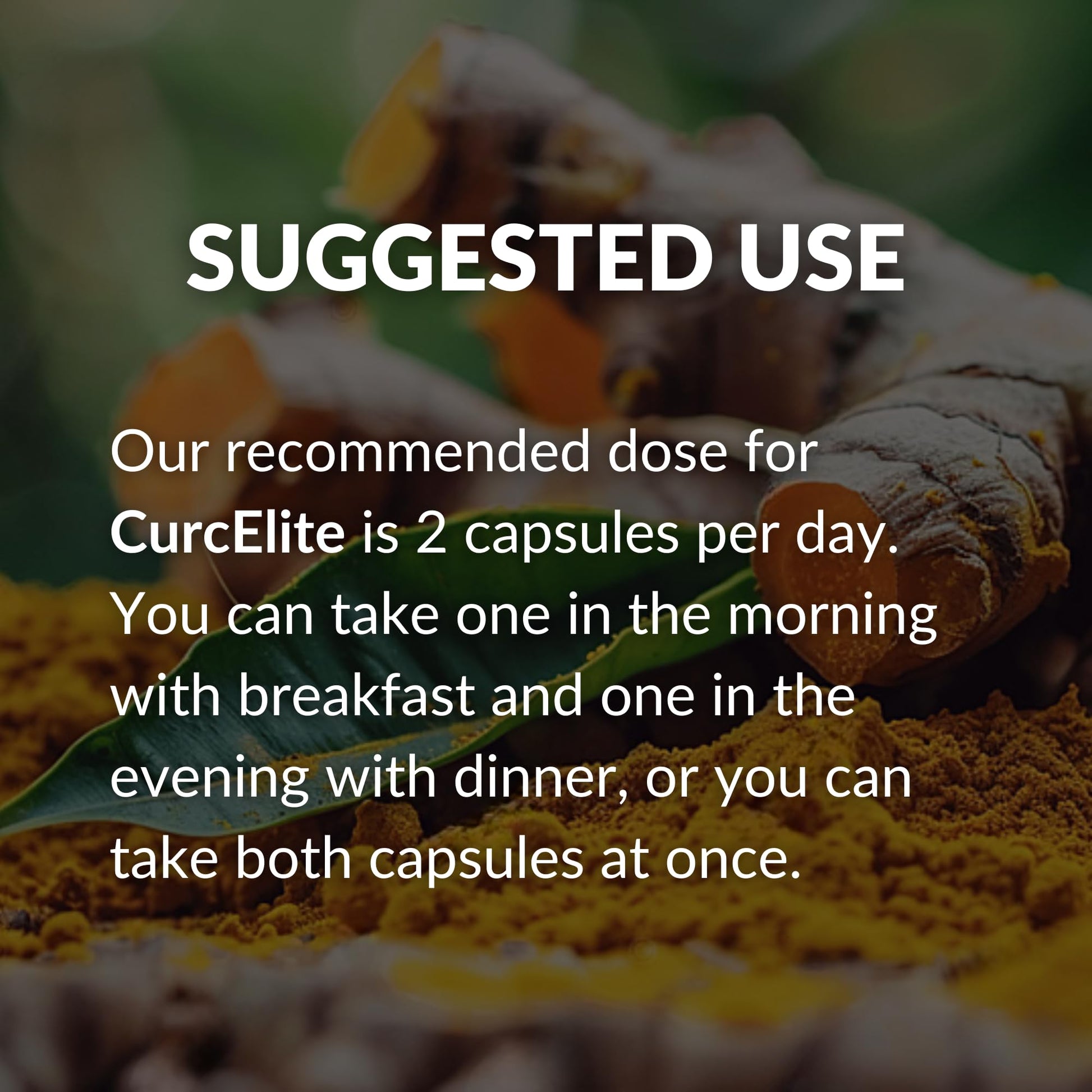 Mara Labs CurcElite Curcumin | Turmeric Extract 95% Curcuminoids | Vegan, No Fillers, and Non-GMO | 60 Vegan Capsules BrocEliteAu supplements