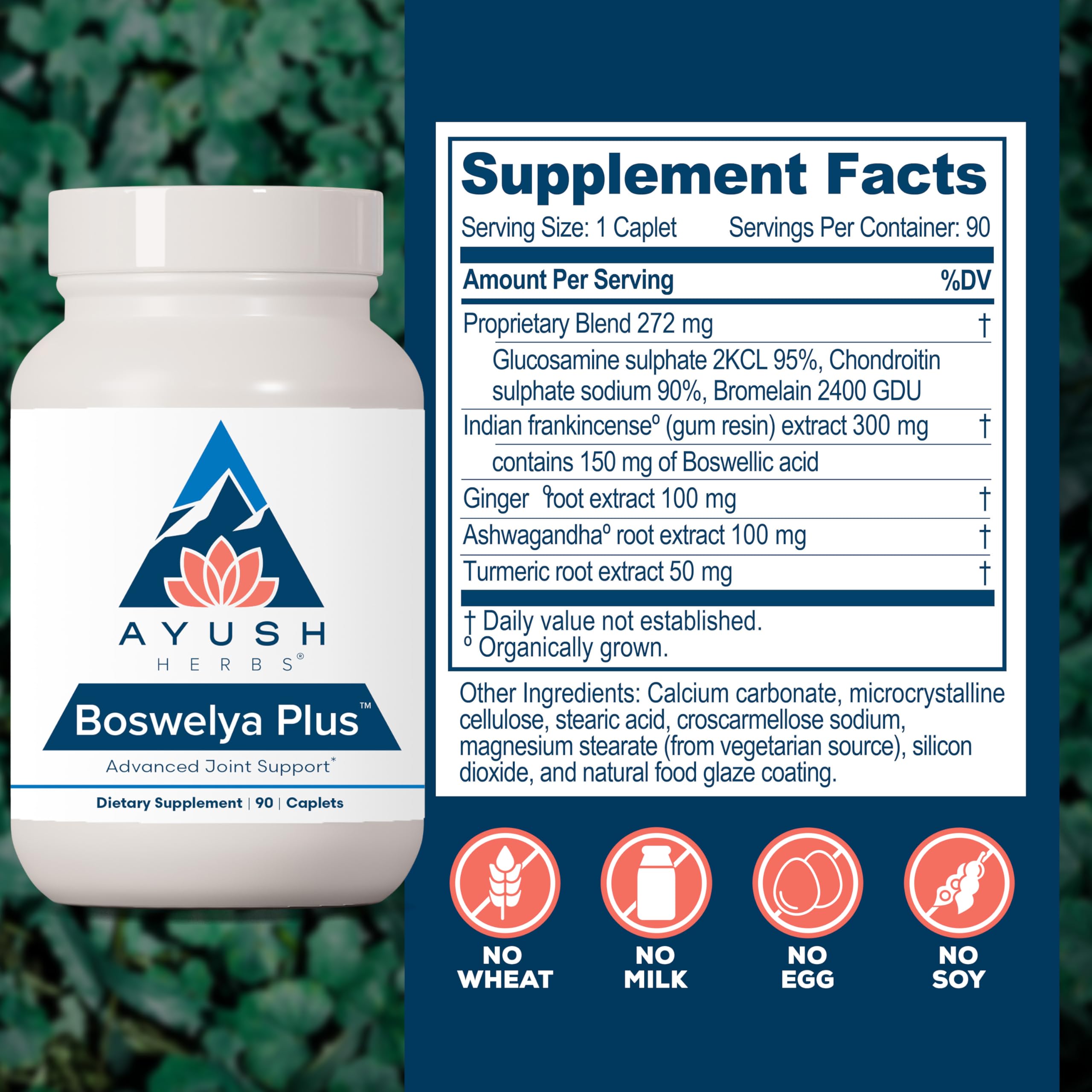 Ayush Herbs Boswelya Plus - Glucosamine Chondroitin Joint Support Supplement, Turmeric Muscle Support for Men & Women, Joint Care with Curcumin - 90 Vegetarian Capsules (1 Count) Ayush HerbsAu supplements