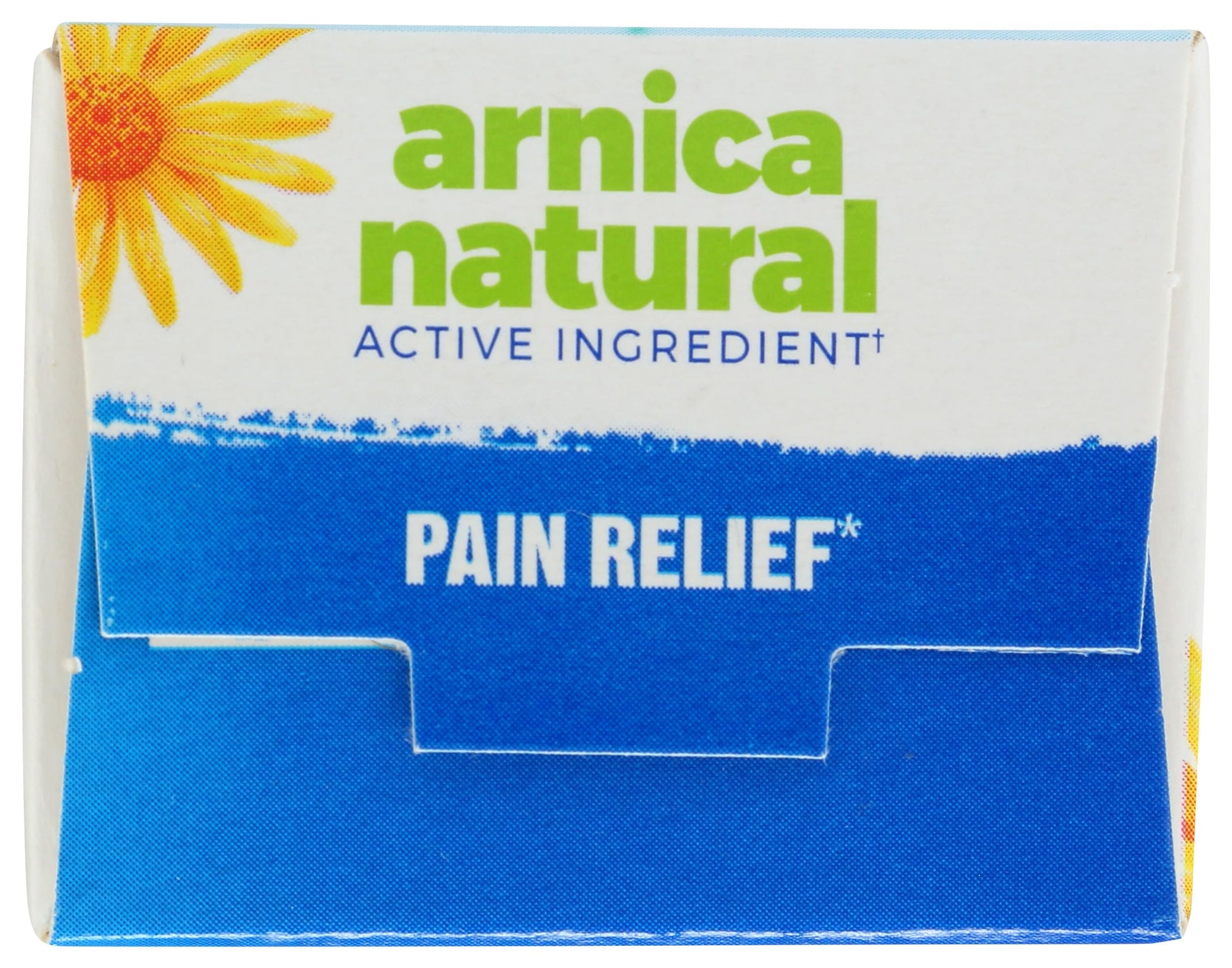 Boiron Arnicare Cream, Homeopathic Medicine for Pain Relief, 1.3 Ounce (Pack of 1) BoironAu supplements