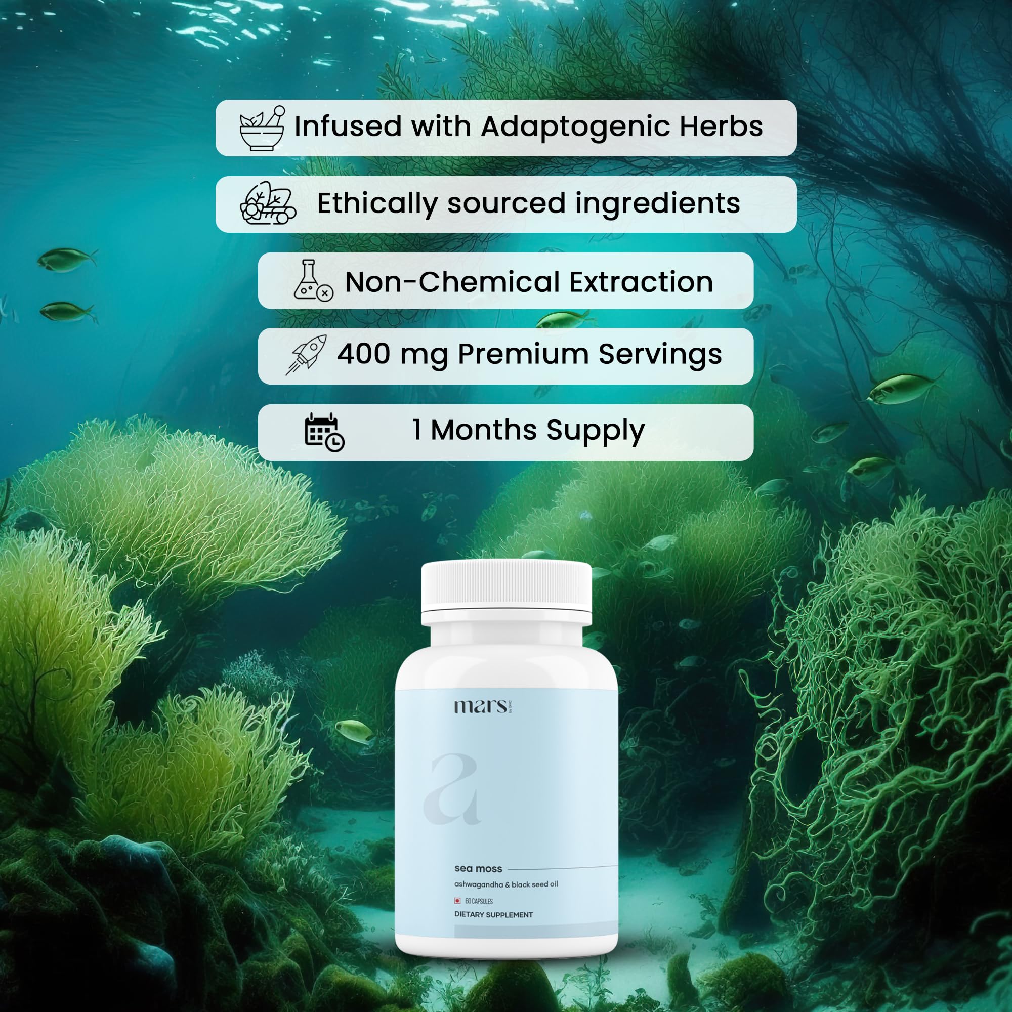 mars by GHC Mars Surge Natural Sea Moss Caps (60N) | Packed with 84 Minerals | Powered with Black Seed Oil | | Overall Well Being - Pack of 1 mars by GHCAu supplements