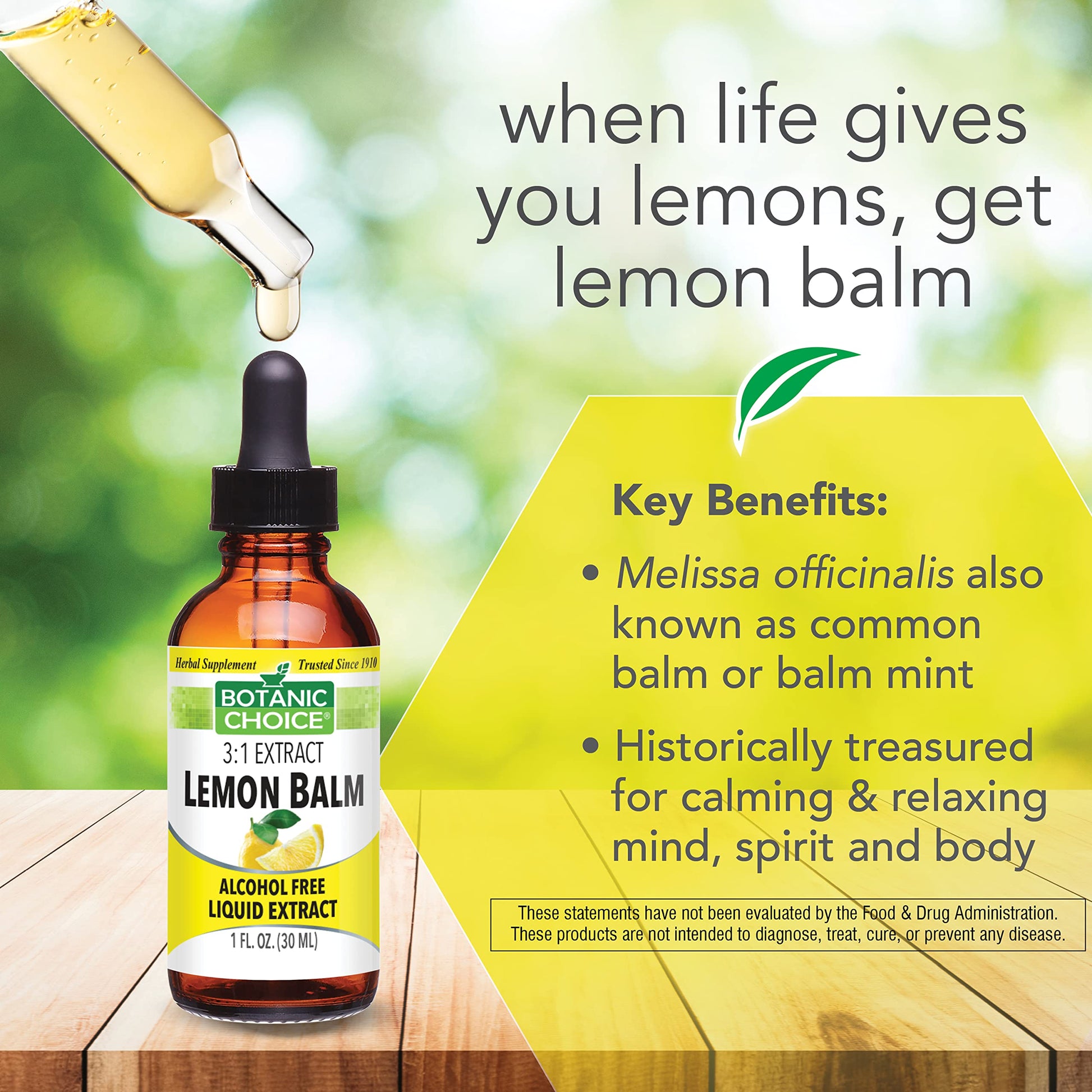 Botanic Choice Mega Fruits and Veggies Blend (60 Capsules) + Lemon Balm Tincture (1 fl oz) Bundle - Energy Balance & Superfood Supplement + Relaxation and Sleep Support Botanic ChoiceAu supplements