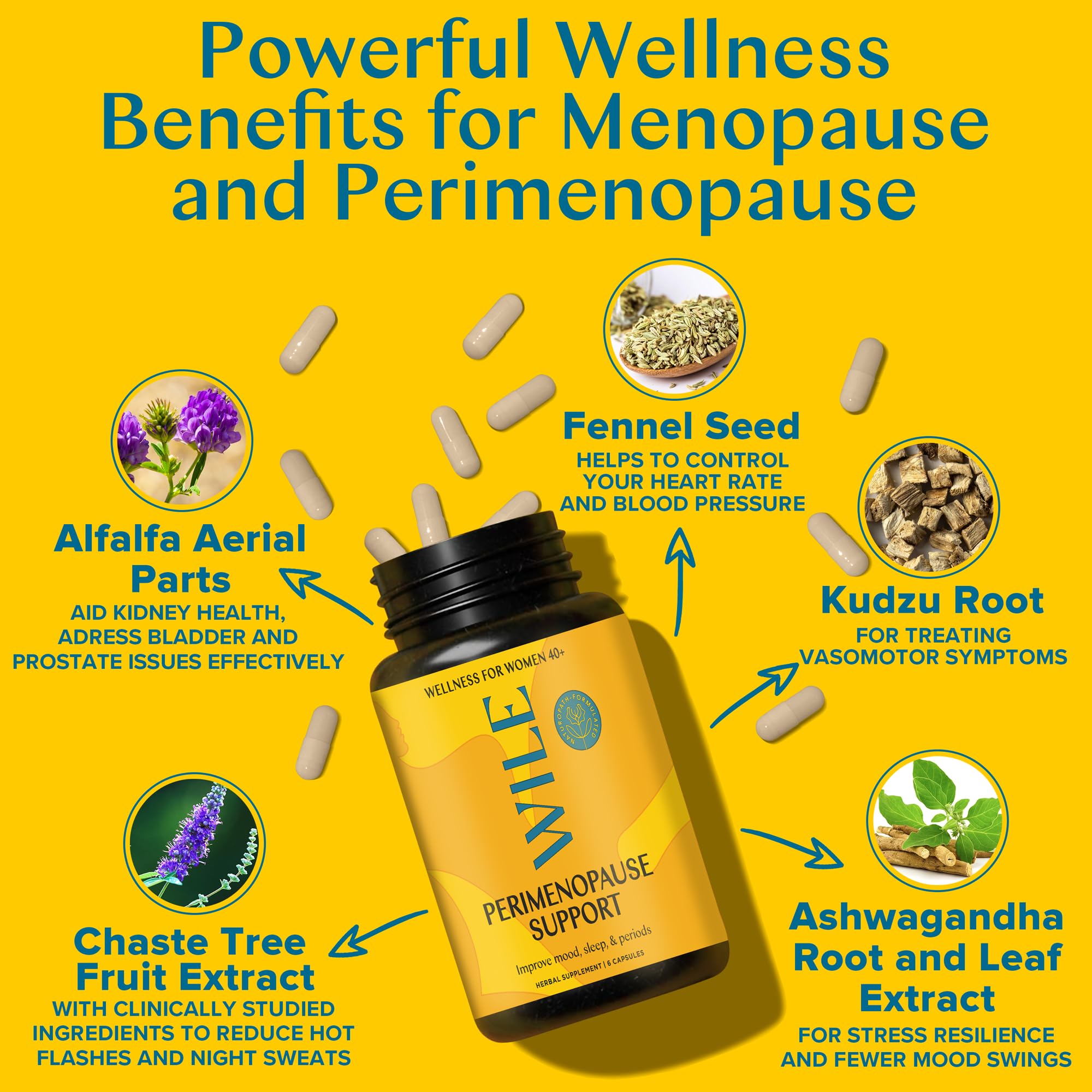 WILE Menopause and Perimenopause Supplements for Women with Ashwagandha - Menopausal Symptoms Relief for Stress, Hot Flashes, Night Sweats - Healthy Sleep & Hormone Balance Support, Vegan, 30 Servings WILEAu supplements