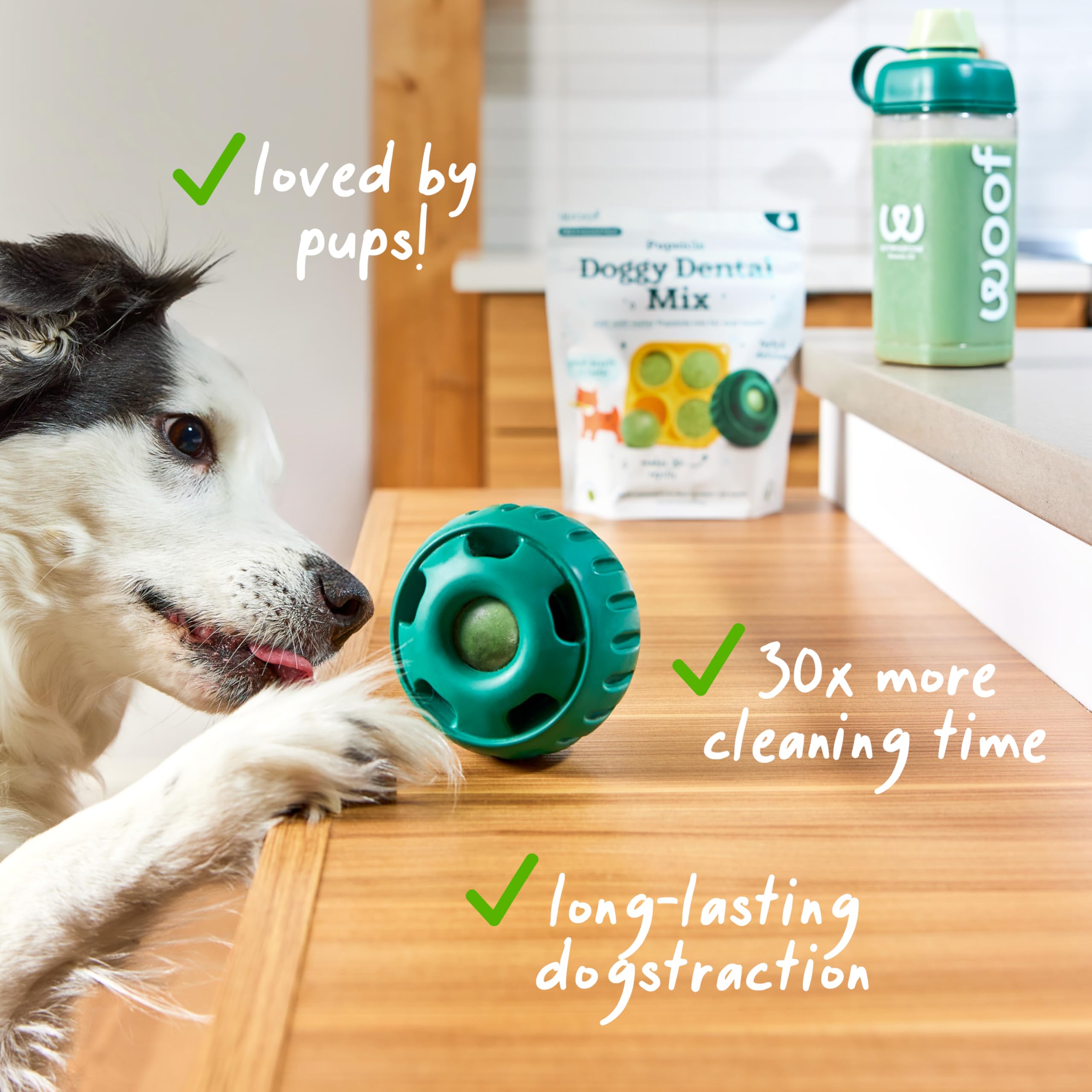 Woof Doggy Dental Pupsicle Mix - Dog Teeth Cleaning Powder for The Pupsicle - Long Lasting Postbiotic Dental Enzyme Mix to Support Oral Health for Dogs WOOFAu supplements